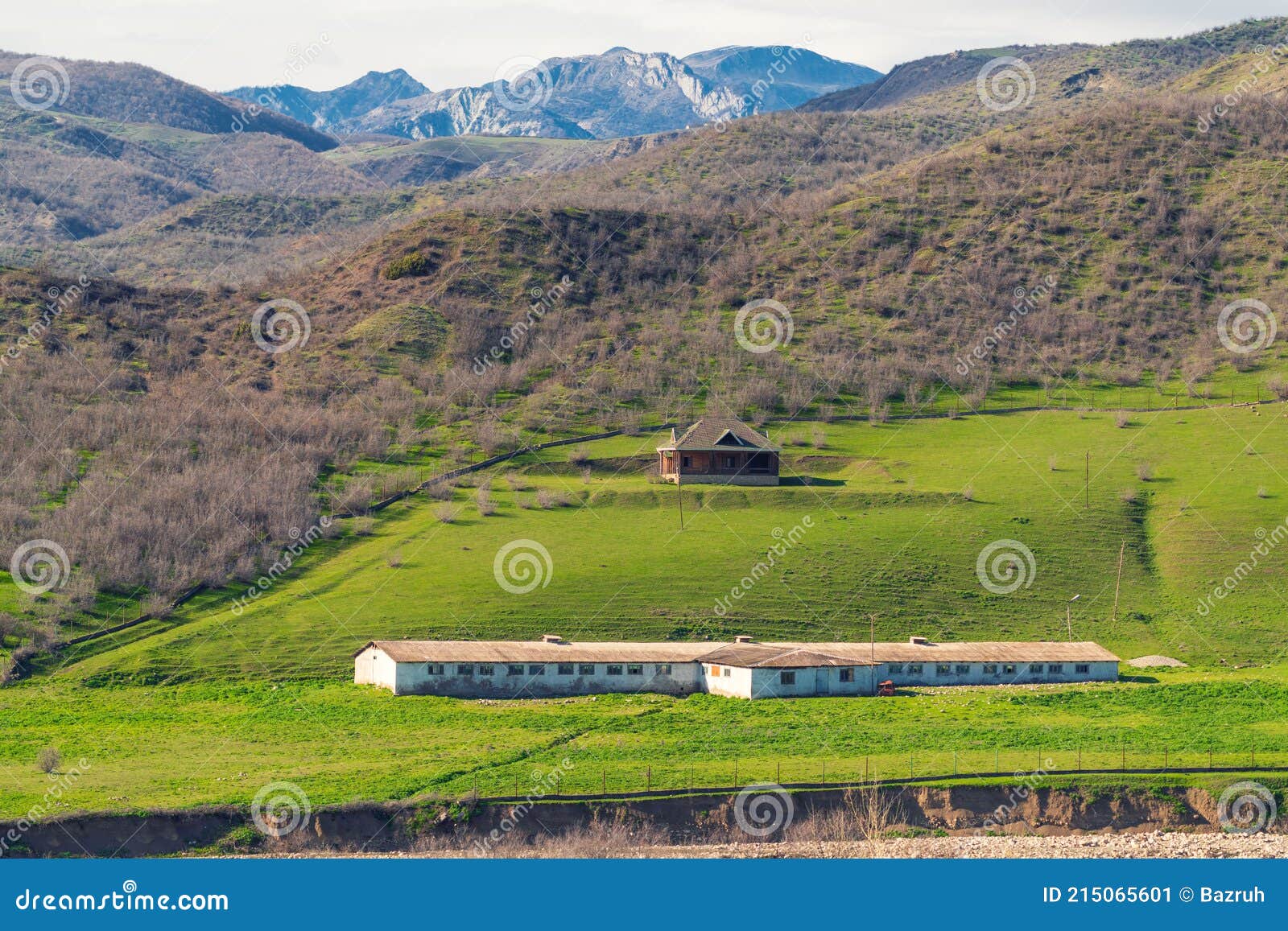 Abandoned Dairy Farm on Green Hillside Stock Image Image of tree