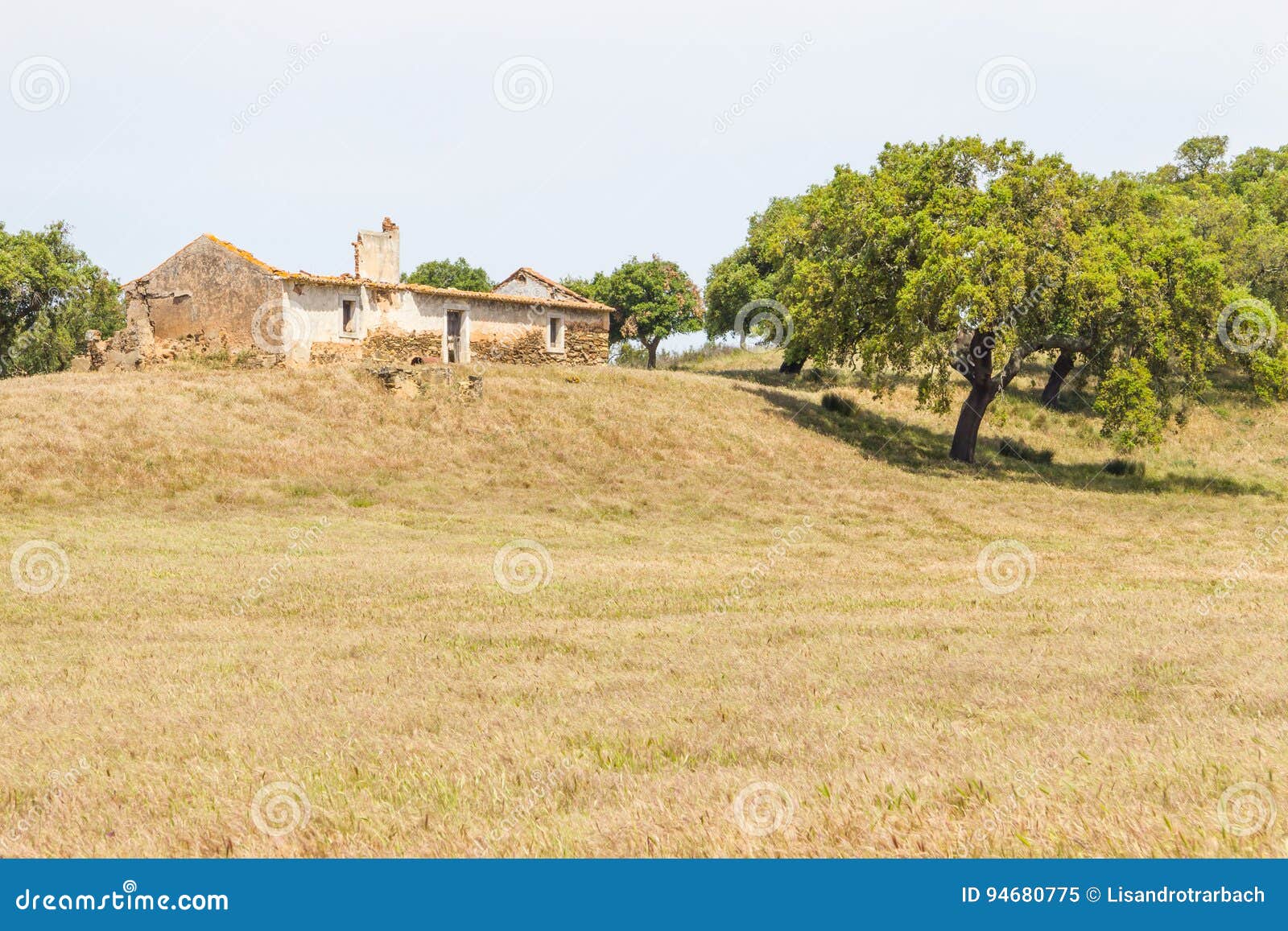 abandoned farm house and cork tree in santiago do cacem