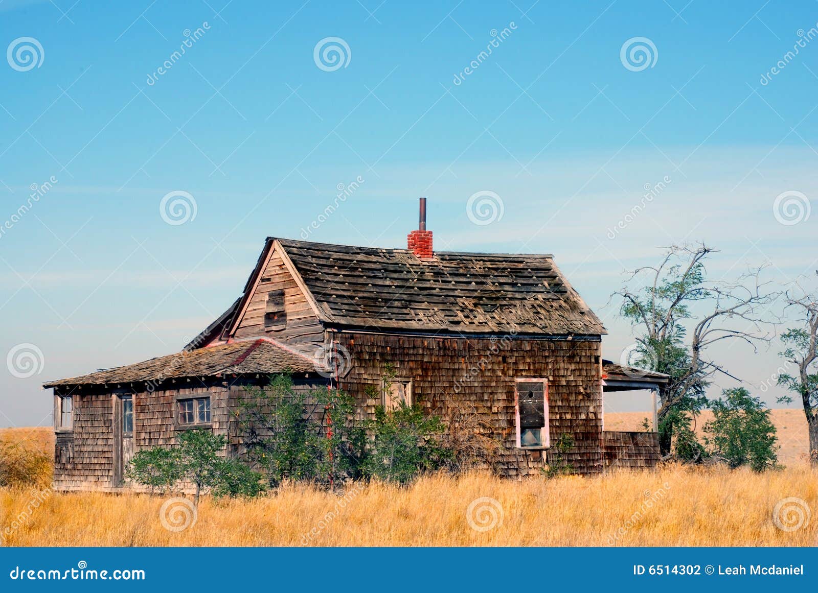 Abandoned Farm House in Oregon Field Stock Photo Image of ruined