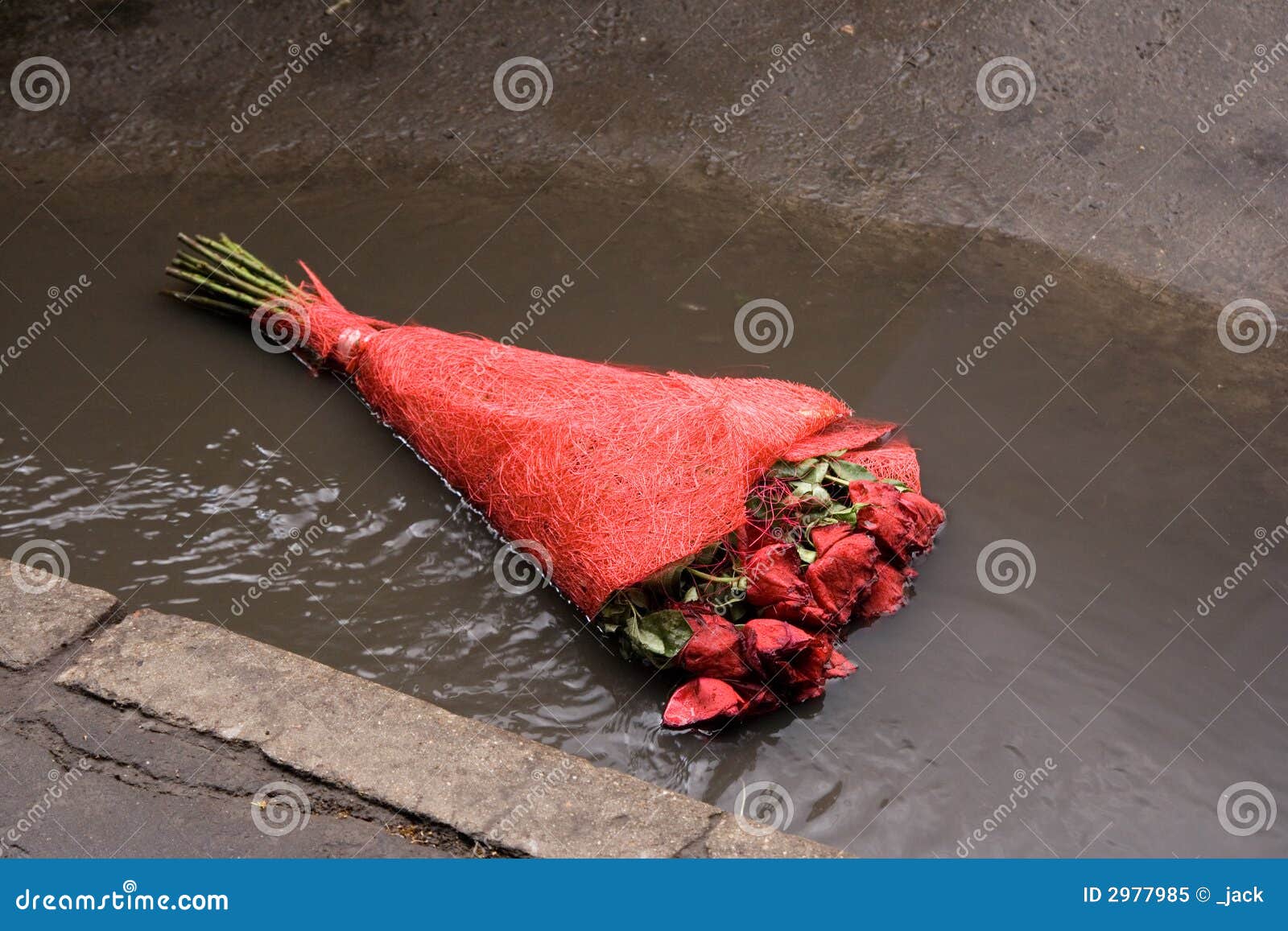 Abandoned Flowers on a Road Stock Image Image of brown, fallen 2977985