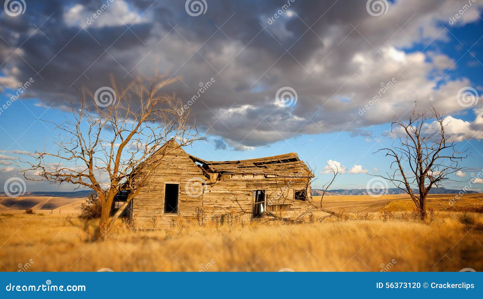 Abandoned Homesteader Cabin in Eastern Washington Stock Photo Image