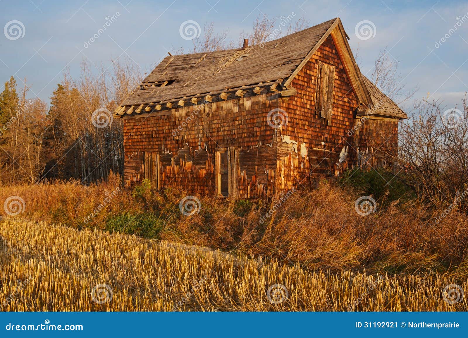 Abandoned House by a Harvested Field at Dawn Stock Image - Image of ...