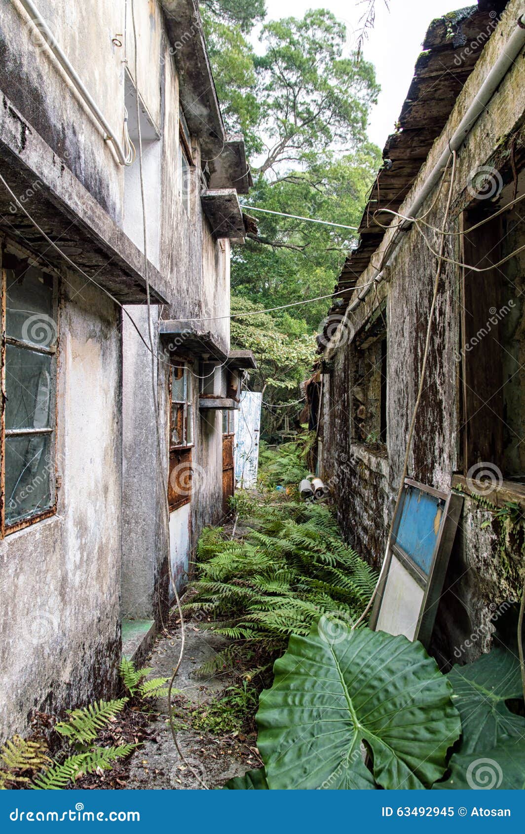 Abandoned Housing in Jungle Stock Image Image of construction