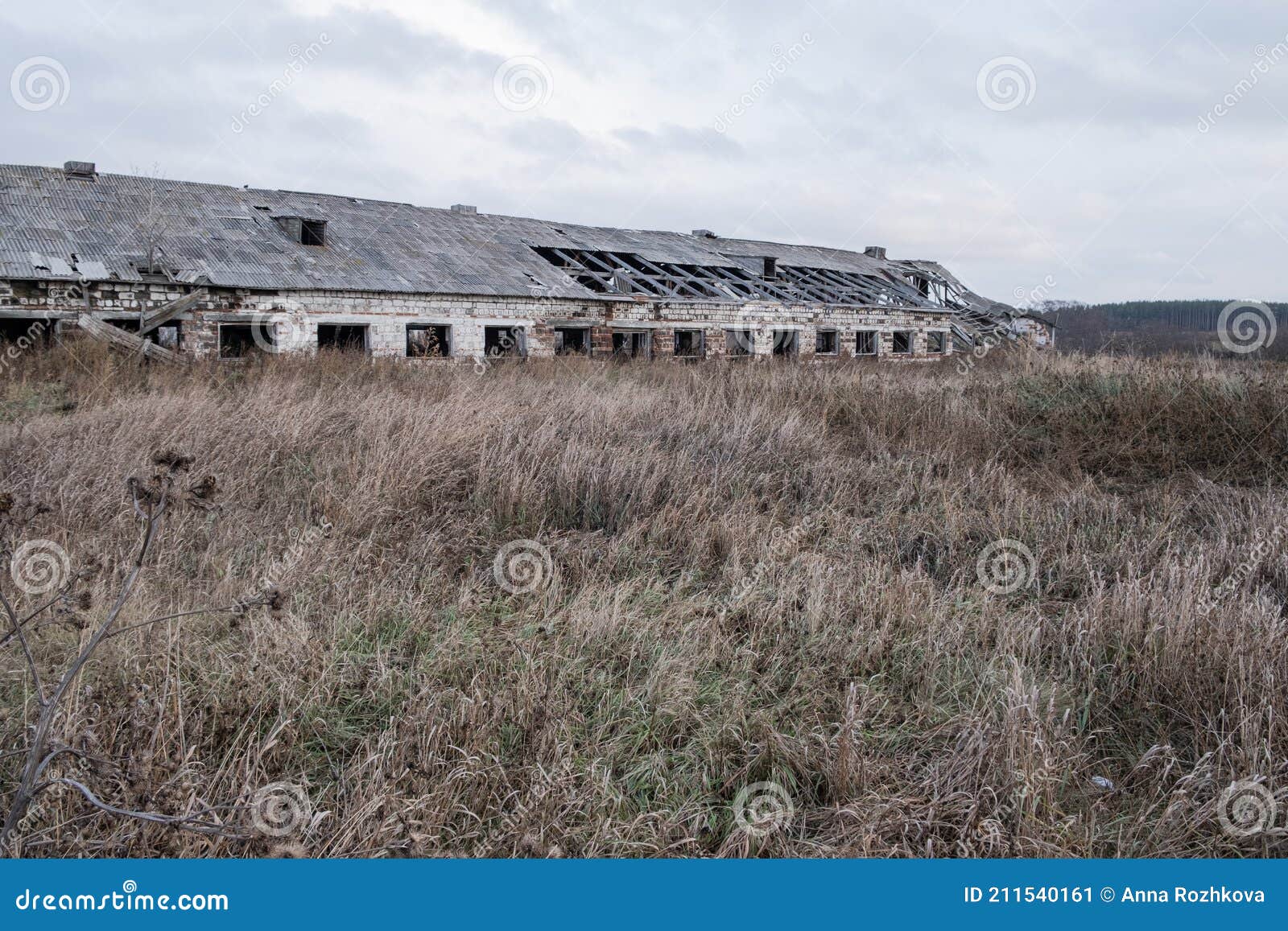 Abandoned Old Agricultural Building in the Field Stock Image Image of