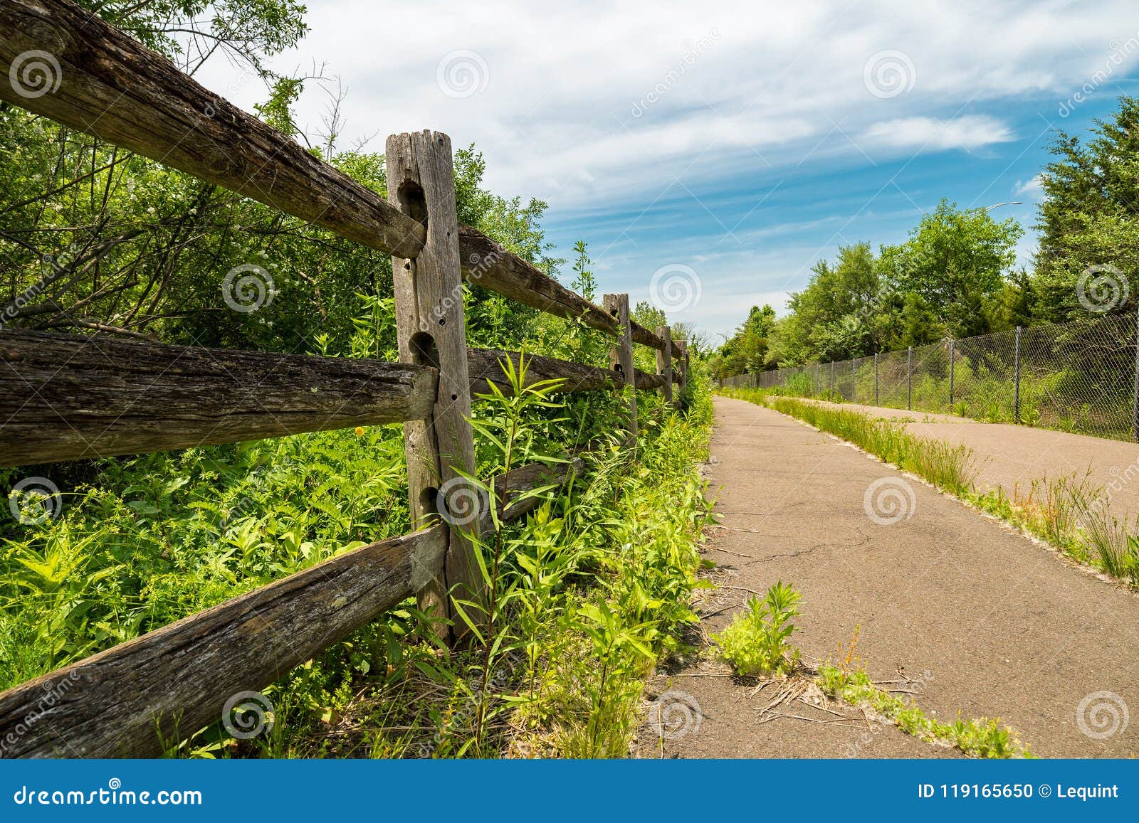 abandoned overgrown bike trail with rotting wood fence