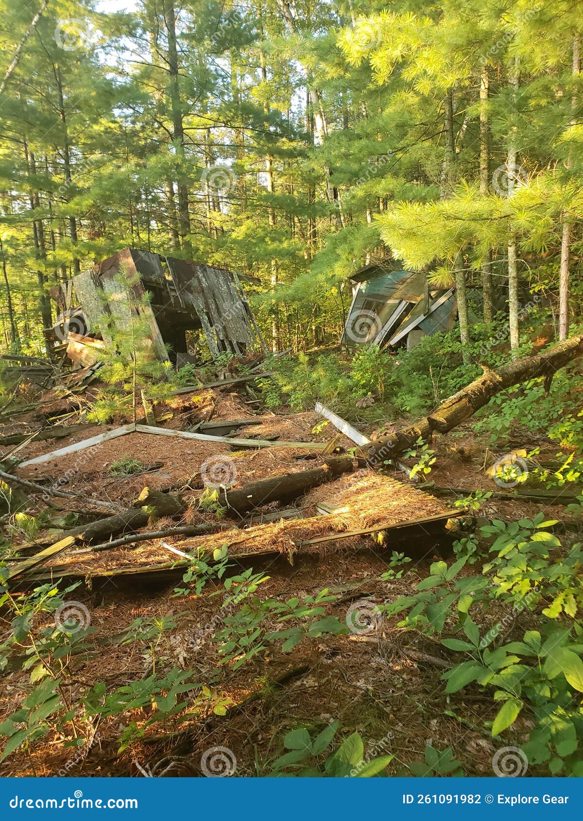 Abandoned Property in Northern Minnesota in the Woods Stock Photo