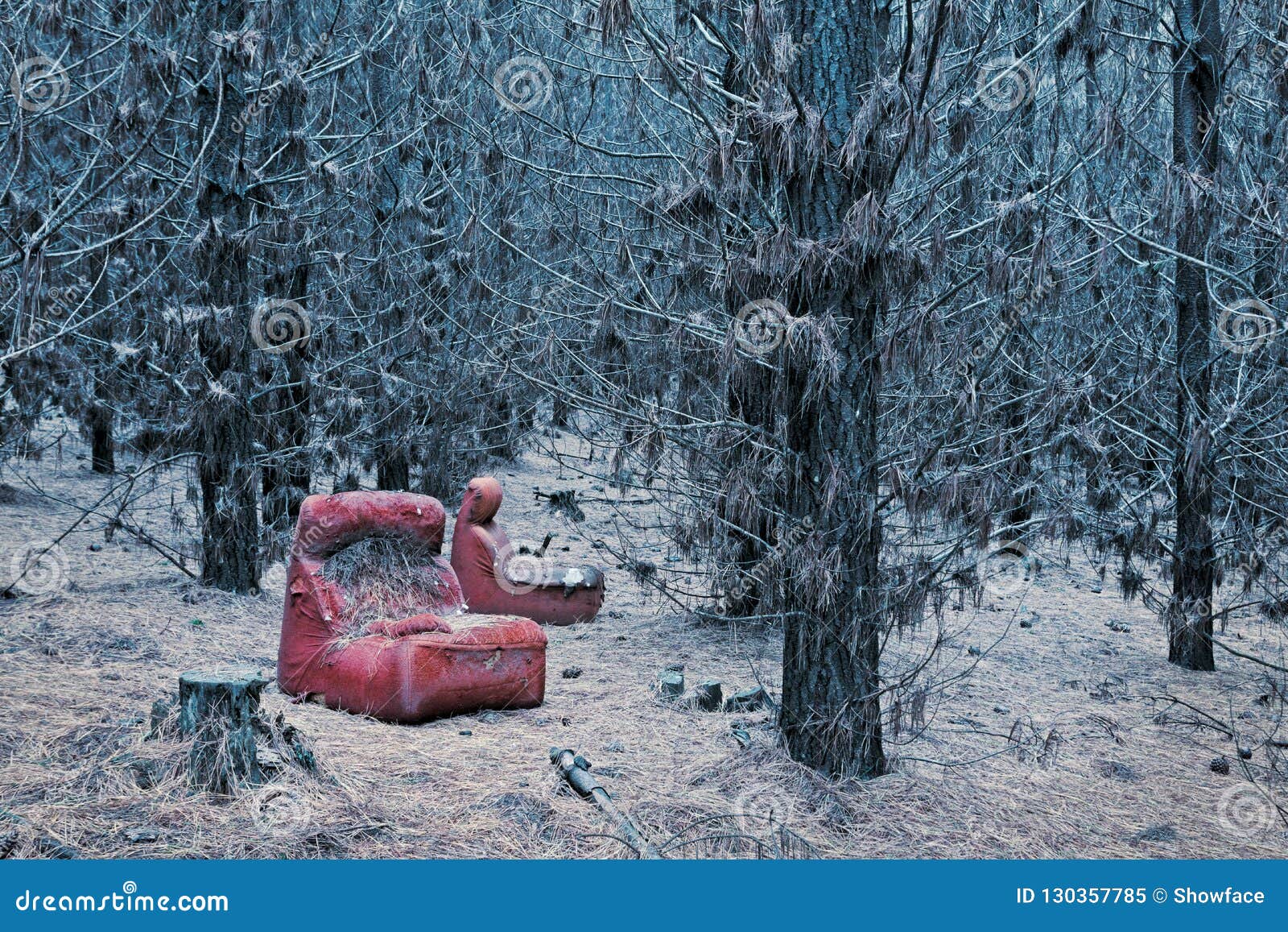 Abandoned Red Chair In The Wintry Pine Forest Stock Image