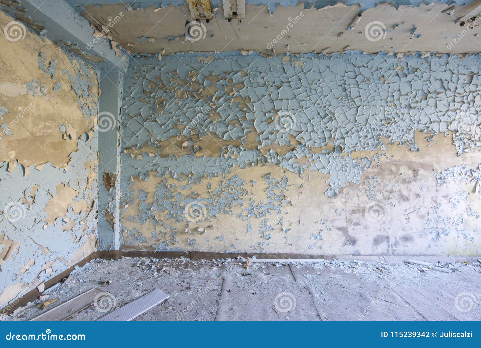 Abandoned Room Stock Photo Image Of Ceiling Cracked 115239342