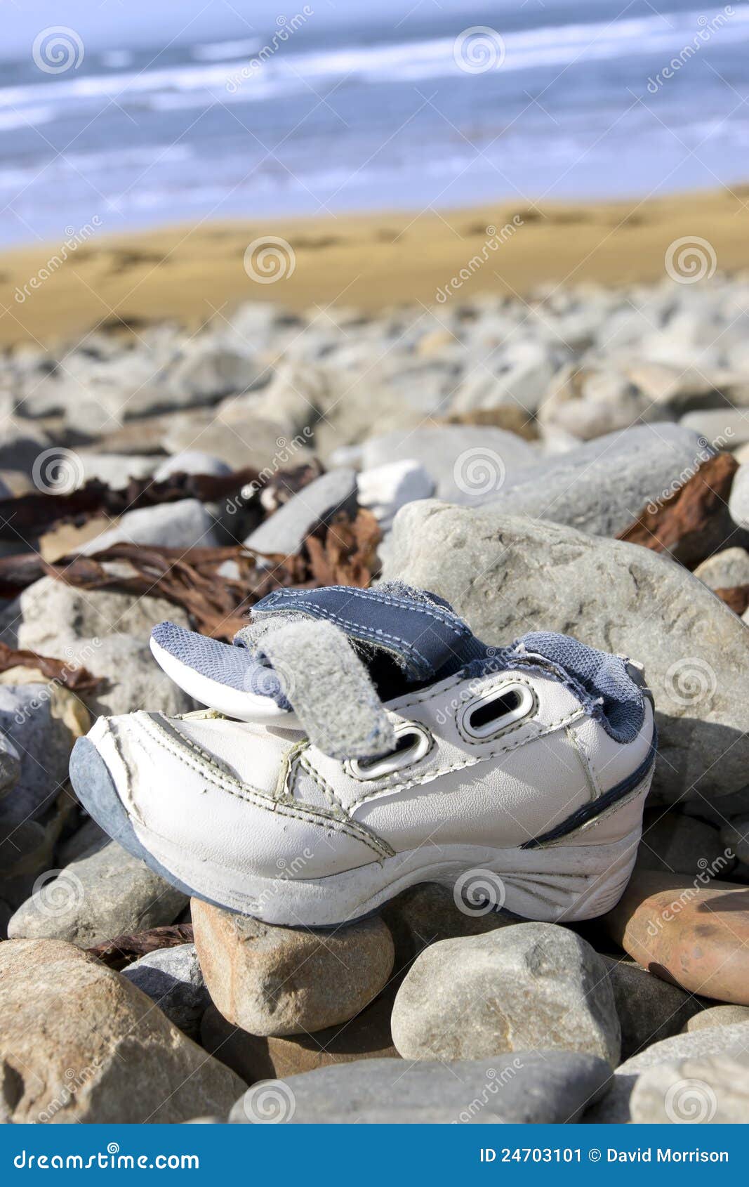 Abandoned Running Shoe on a Rocky Irish Beach Stock Image Image of