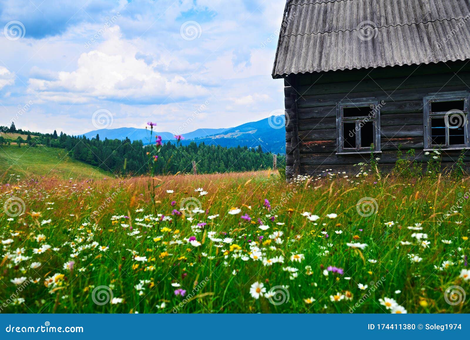 Abandoned Wooden Home in Countryside, Nature, Summer Landscape in ...