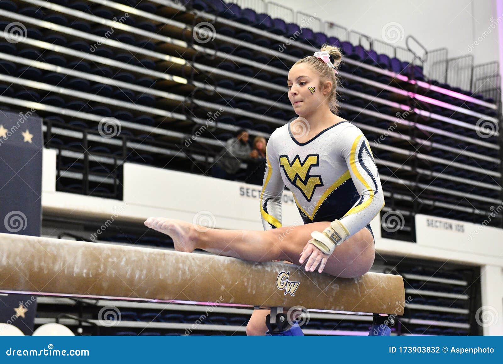 West Virginia Gymnastics Competes at GWU Pink Meet 2020 Editorial