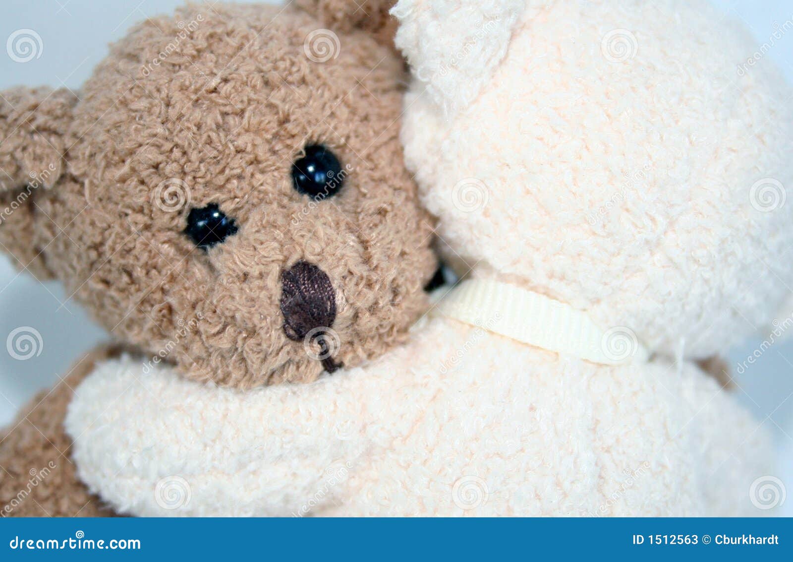 Orsacchiotto Registrabile CuddleBuddys - Marrone Italia - Foto 2