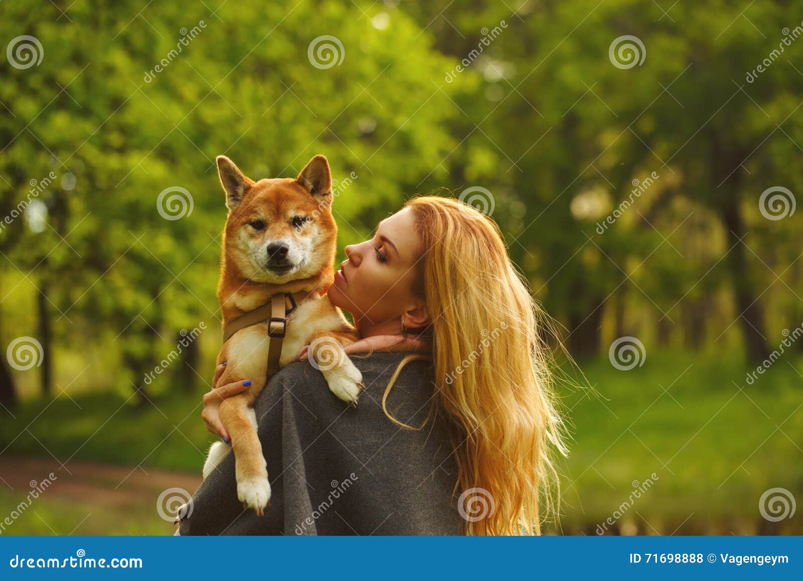 L'abbraccio di Shiba Inu del cane e della ragazza in una molla parcheggia Camminando con un animale domestico Cane di razza Cani ambulanti Felicità del cane