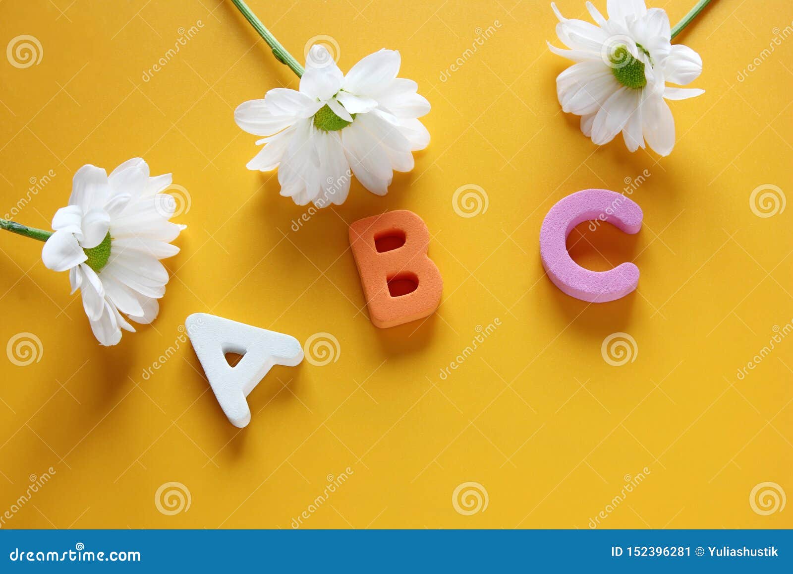 Abc 英语字母表和三朵白色菊花的第一封信件r 库存图片 图片包括有英语字母表和三朵白色菊花的第一封信件
