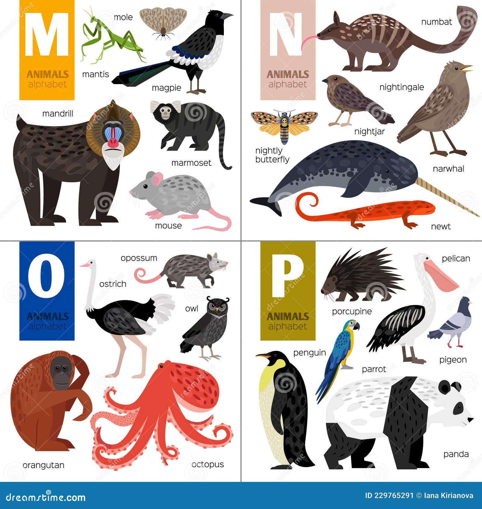Abc Animals. Cute Vector Zoo Alphabet. Stock Vector - Illustration of  nightjar, letter: 229765291