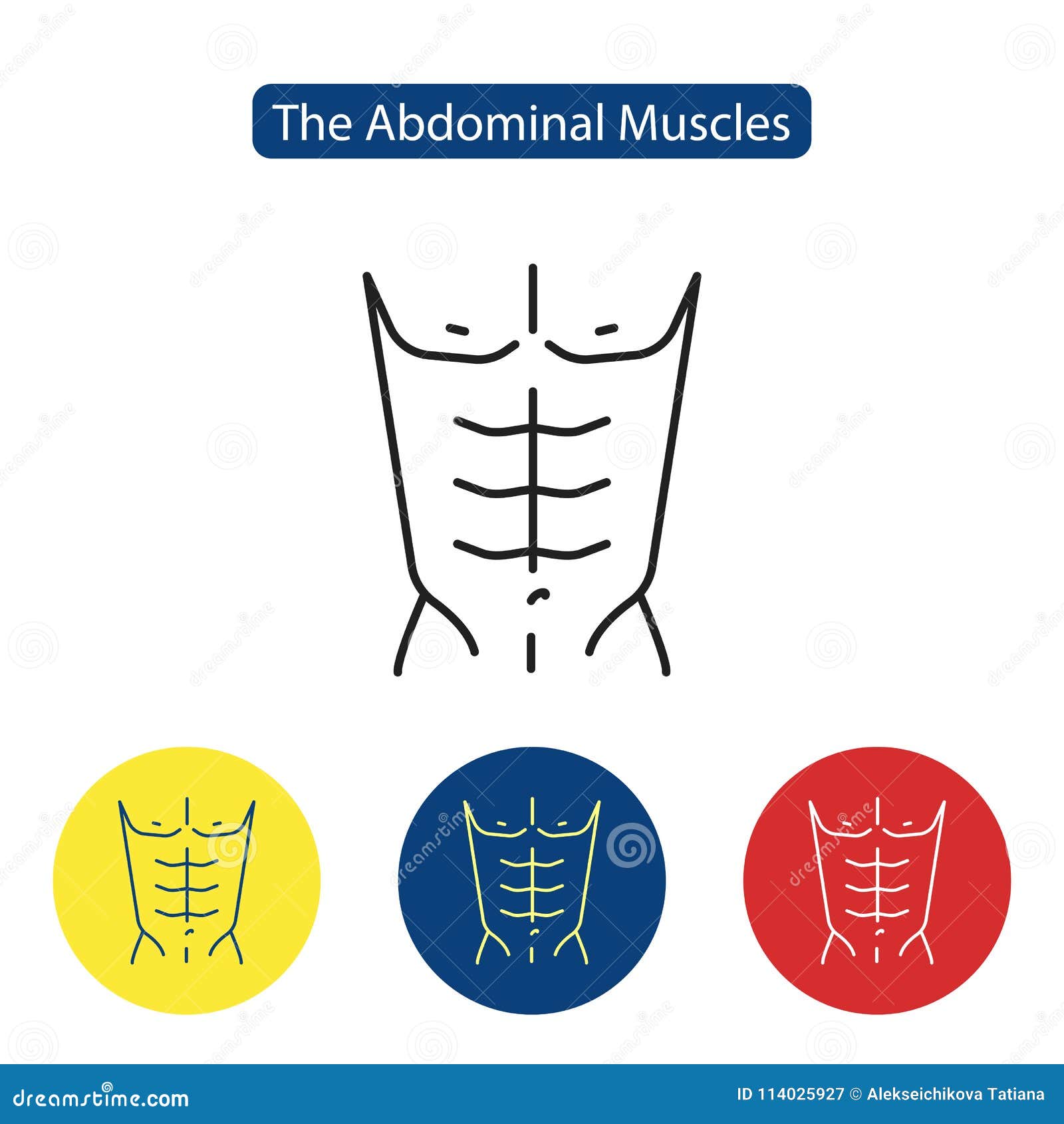 The Abdominal Muscles Fit Icon Stock Vector - Illustration of