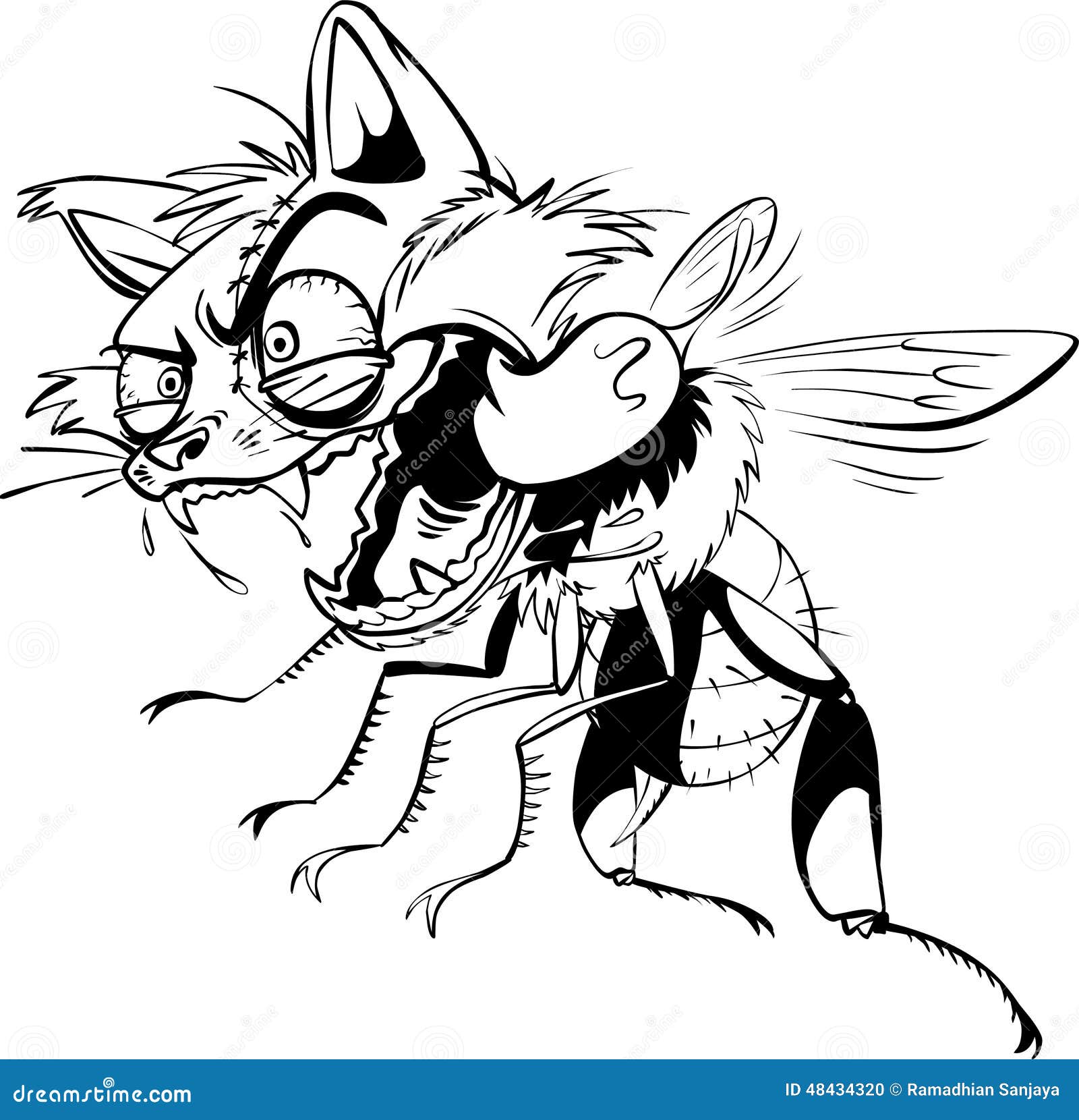 Abeille Folle De Chat Illustration De Vecteur Illustration Du Chat