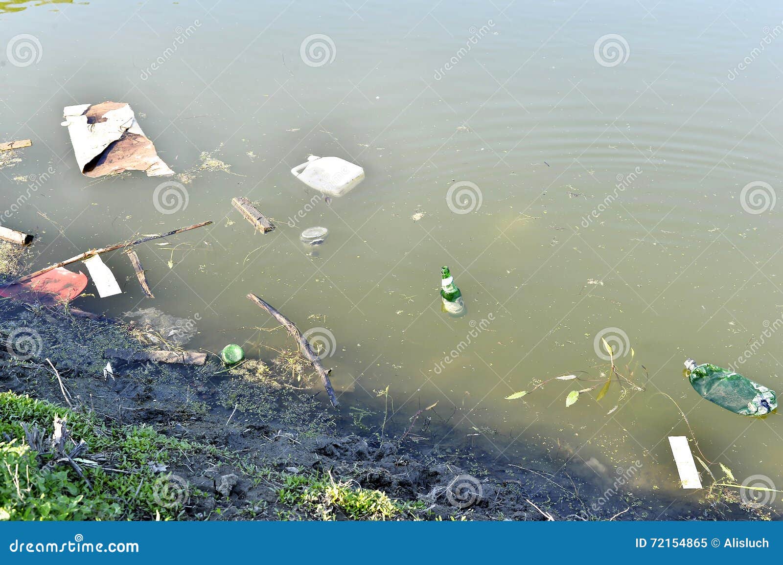Abfall, Abfall, Der in Verunreinigten Teich Schwimmt Stockbild Bild