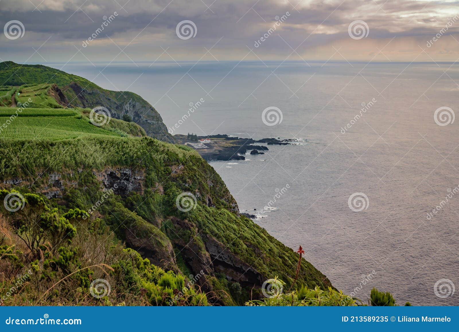 Abismo Com Vegetação E Campo Verde Sobre As Nascentes Do Mar Quente Da  Ponta Da Ferraria Em Lava Faja No Pôr Do Sol Sao Miguel Imagem de Stock -  Imagem de portugal