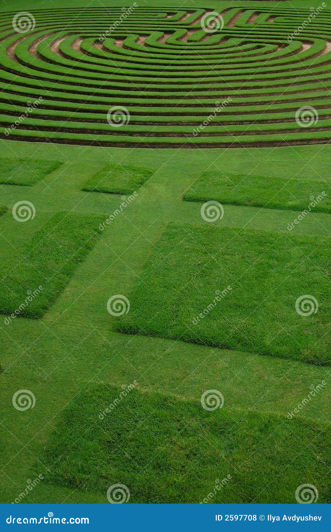ably trimmed lawn