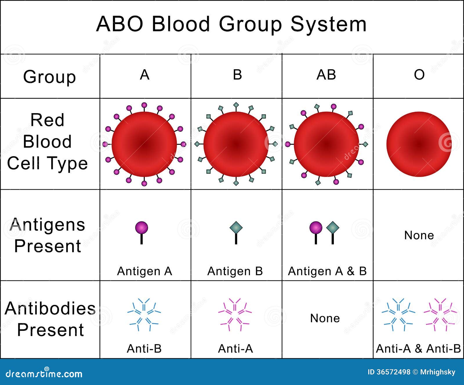 Abo Blood Chart