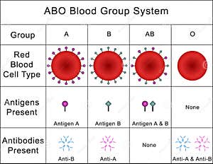 Blood Antigen Chart