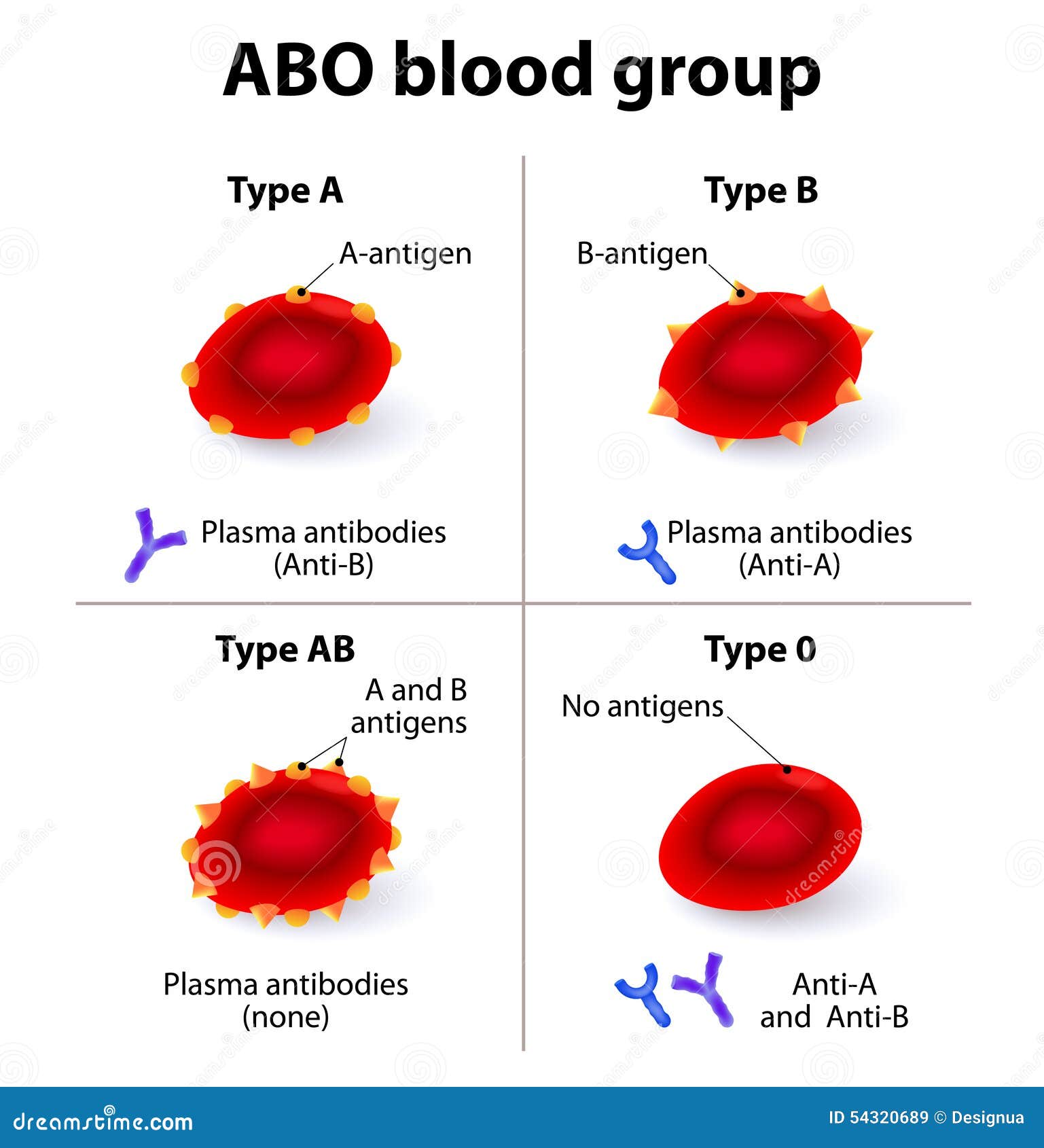 blood type clipart - photo #20