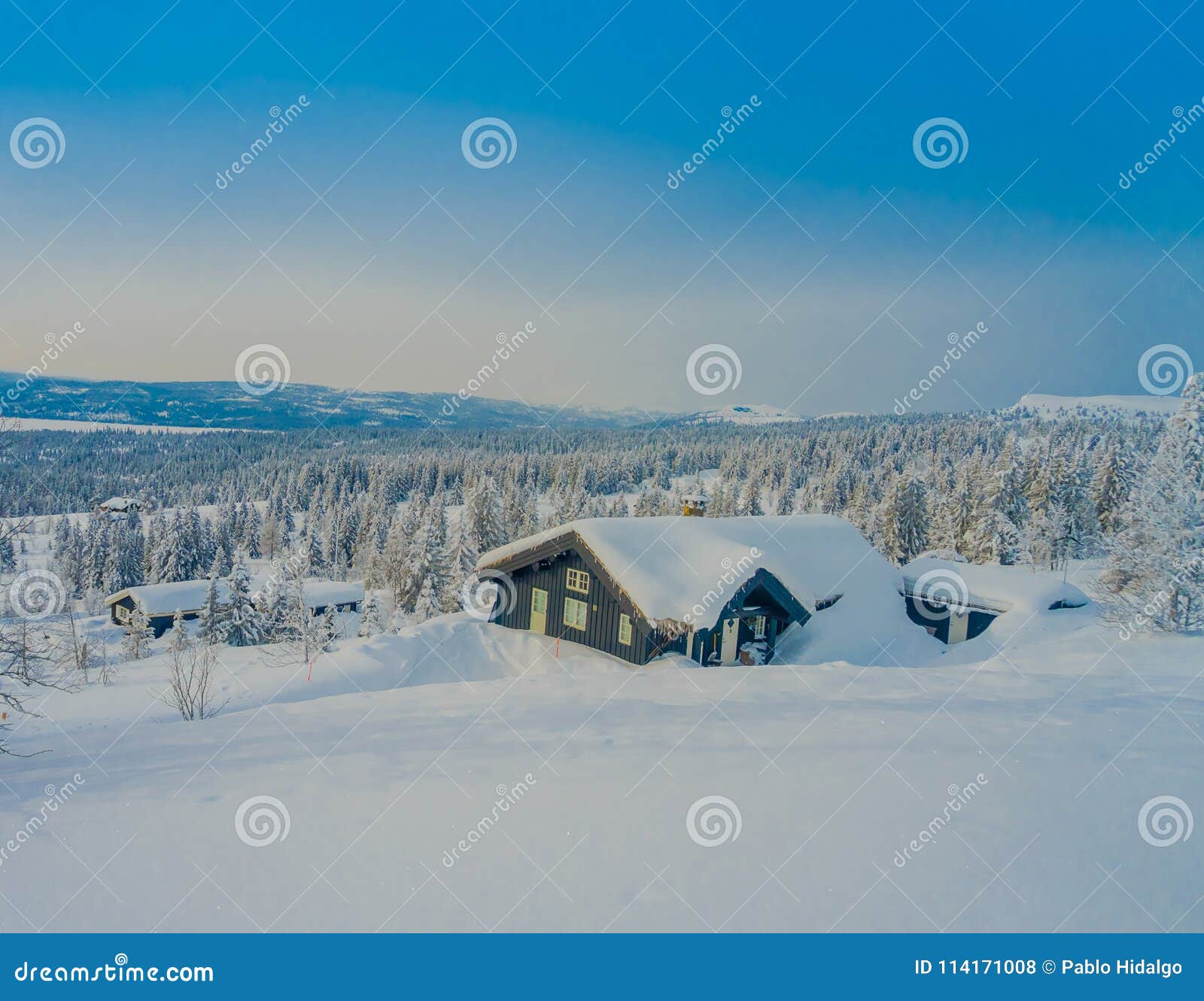 above view of beautiful landscape of wooden buildings with pine trees covered with snow and ice in the forest during
