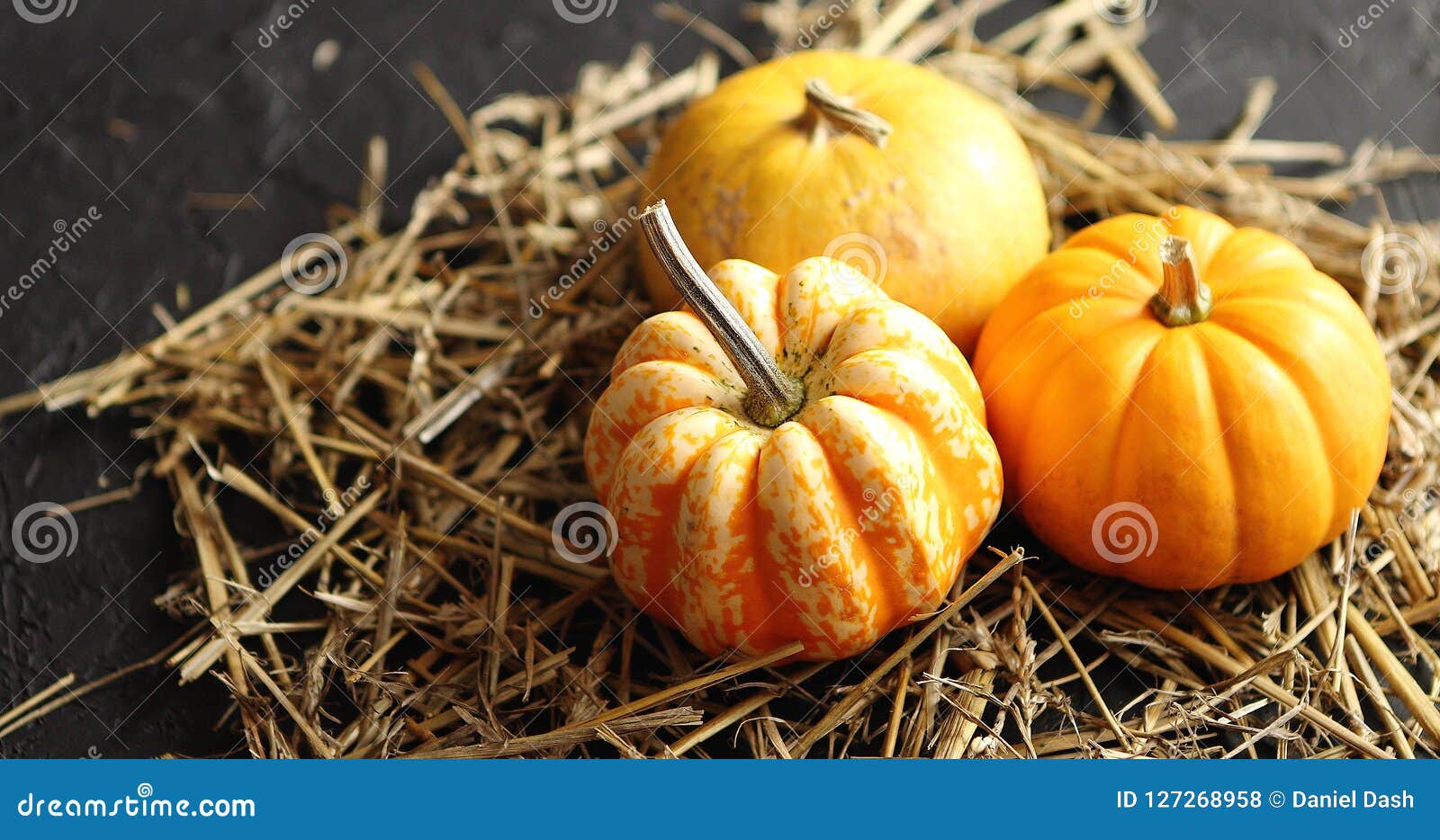 Three Pumpkins on Pile of Hay Stock Photo - Image of plant, vegan ...