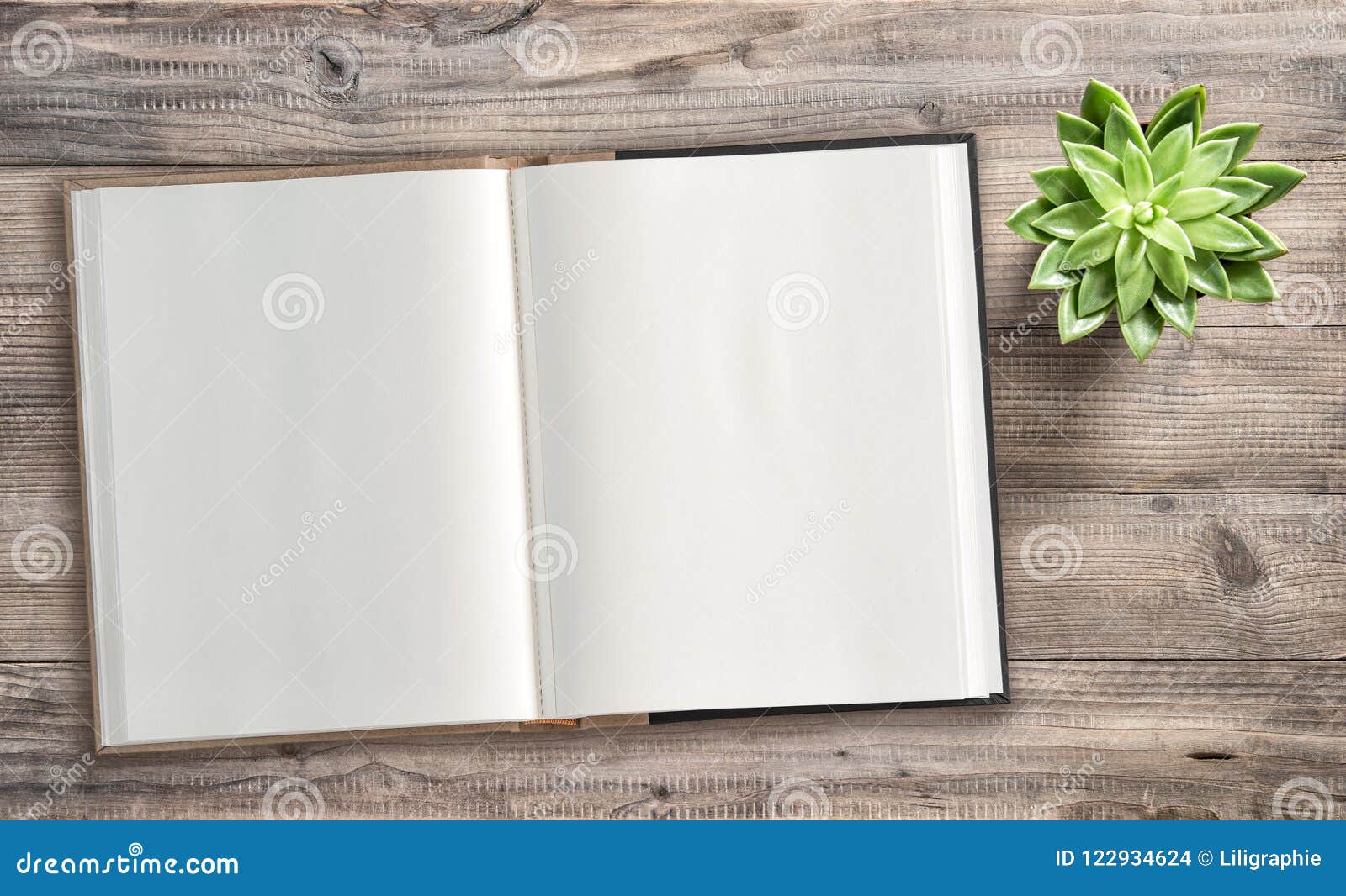 Featured image of post Plano De Fundo Para Livros - Os planos de fundo da área de trabalho são uma ótima forma de expressar seu amor por suas celebridades favoritas ou para exibir sua coleção de citações favoritas.