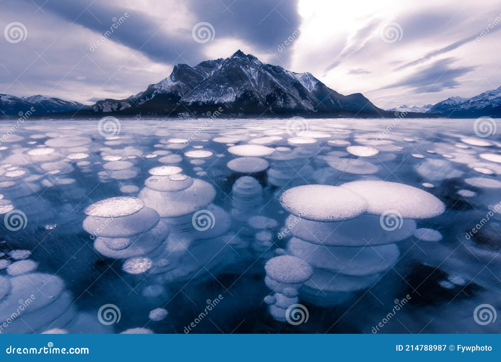 Ice bubble of Abraham lake stock image. Image of climate 214788987