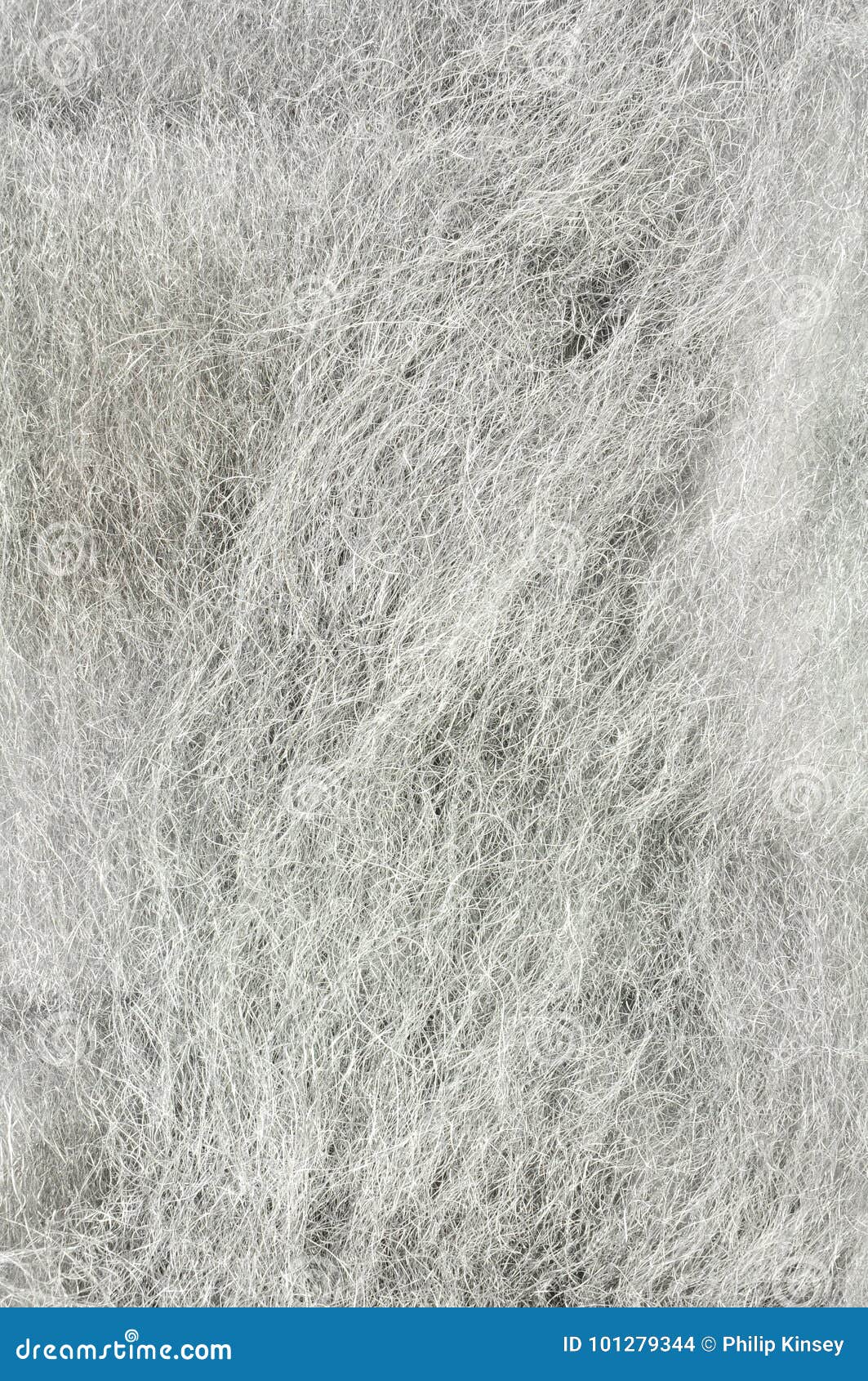 Abrasive Wire Wool stock photo. Image of sandwich, single 101279344
