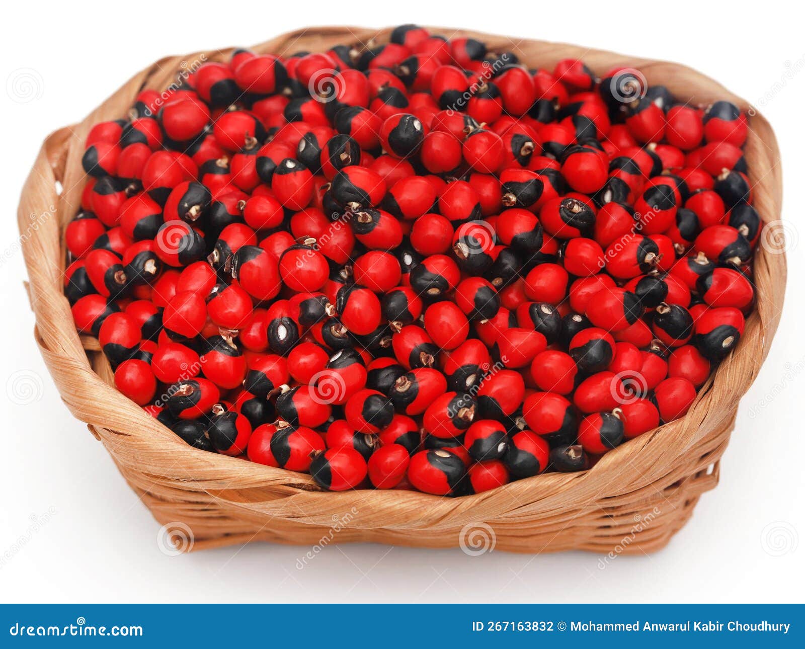 Abrus Precatorius or Indian Liquorice Seeds Stock Photo Image of