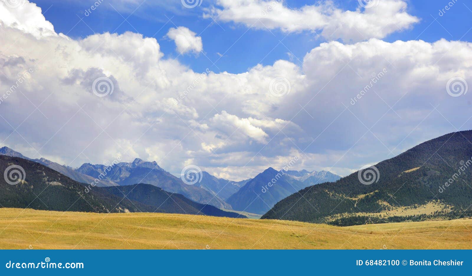 absaroka panorama