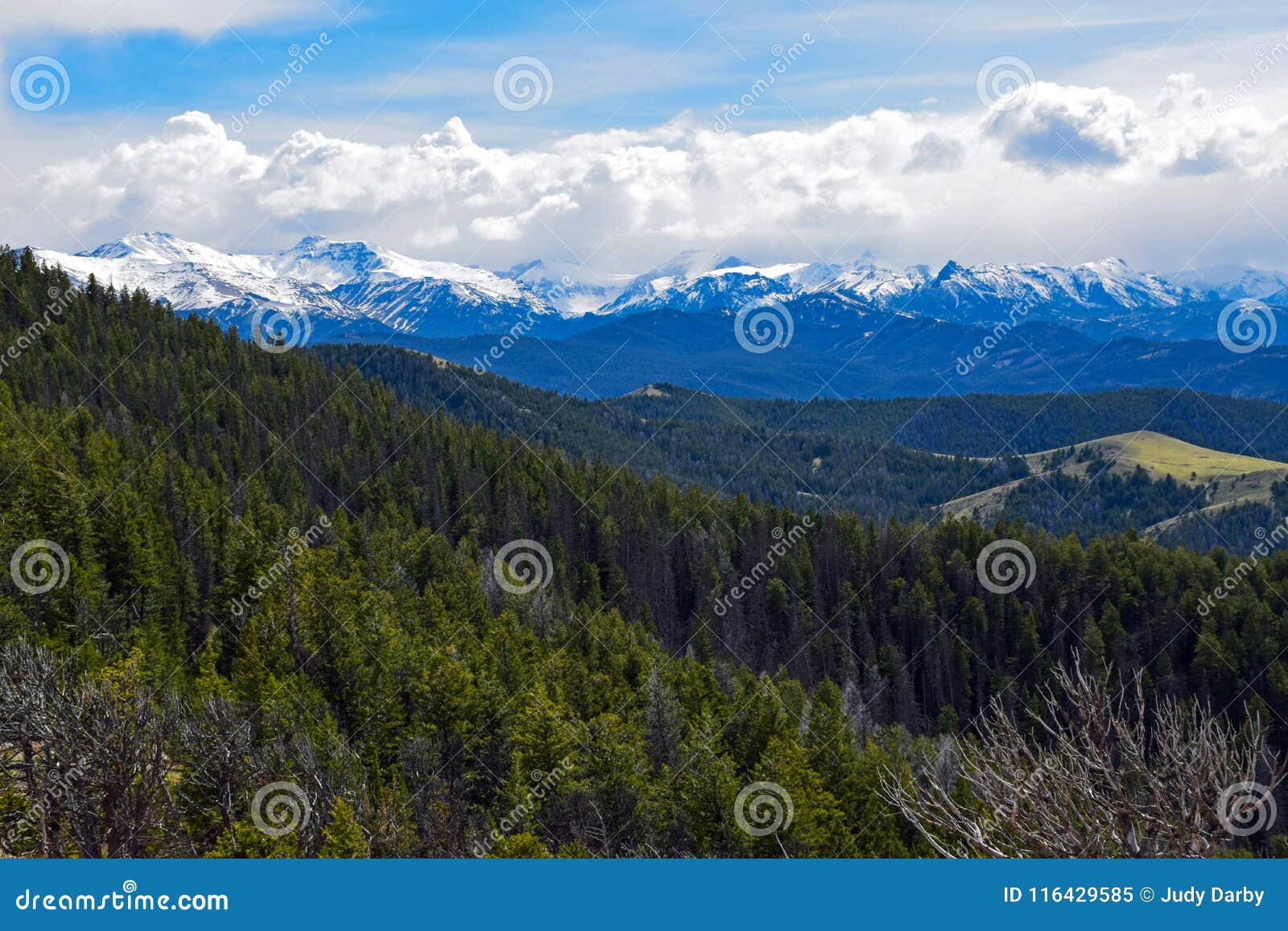 the absaroka range from scenic highway 296, wyoming