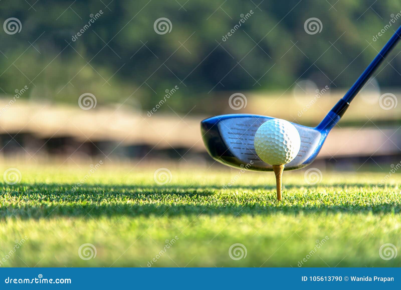 Abschluss herauf Golfball und Fahrer, der Spieler, der Golfschwingent-stück weg auf der grünen Sonnenuntergangabendzeit tut, vermutlich trainiert Gesundes und Lebensstilkonzept