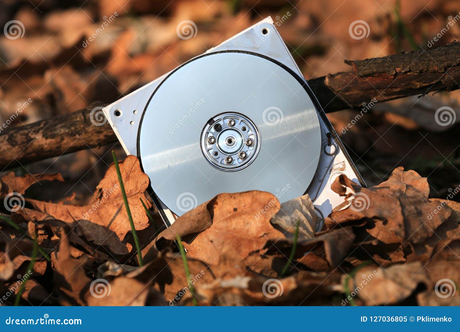 computer hard disk in autumn leafage in forest