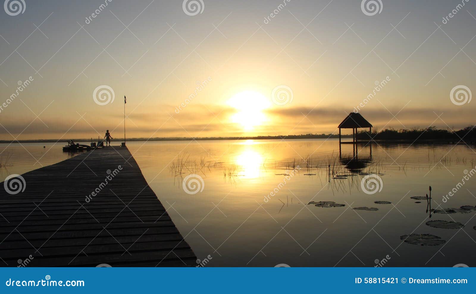 Absorbing the light stock image. Image of absorb, wakingup 58815421