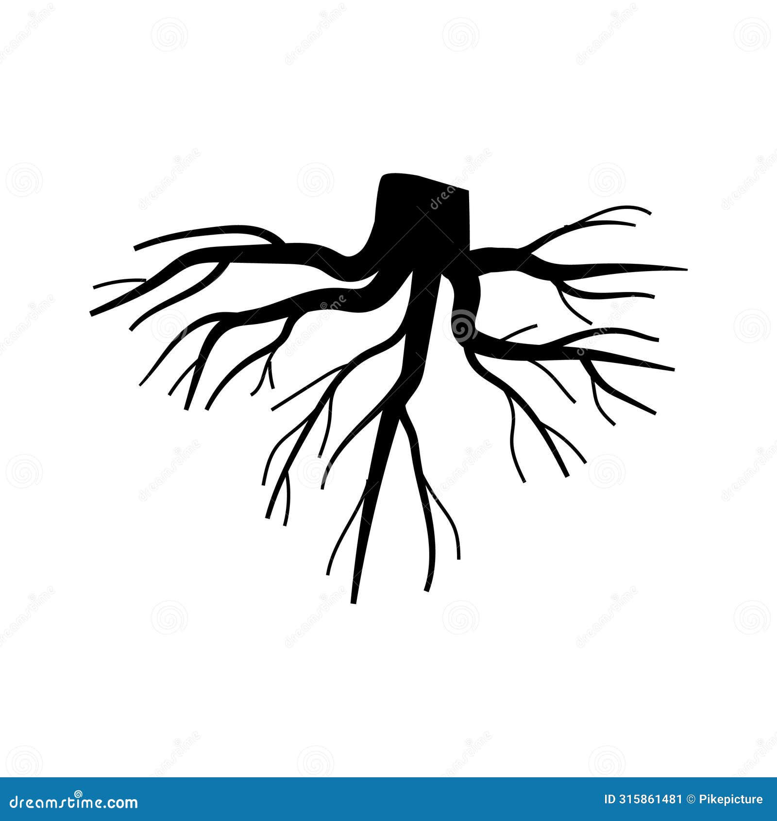 absorption tree root cartoon  