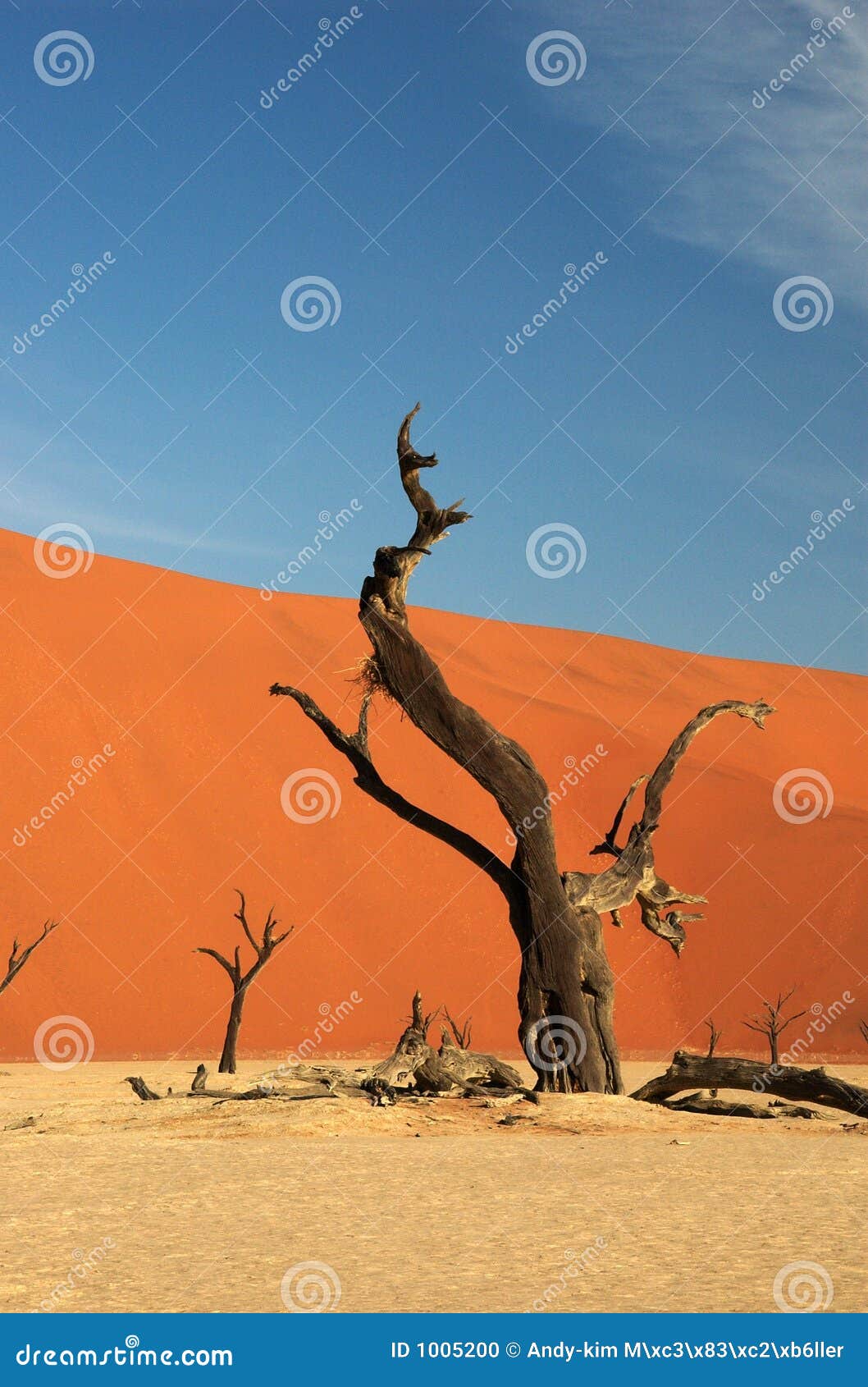 Abstrace δέντρο deadvlei. νεκρά δέντρα της Ναμίμπια deadvlei διάσημα