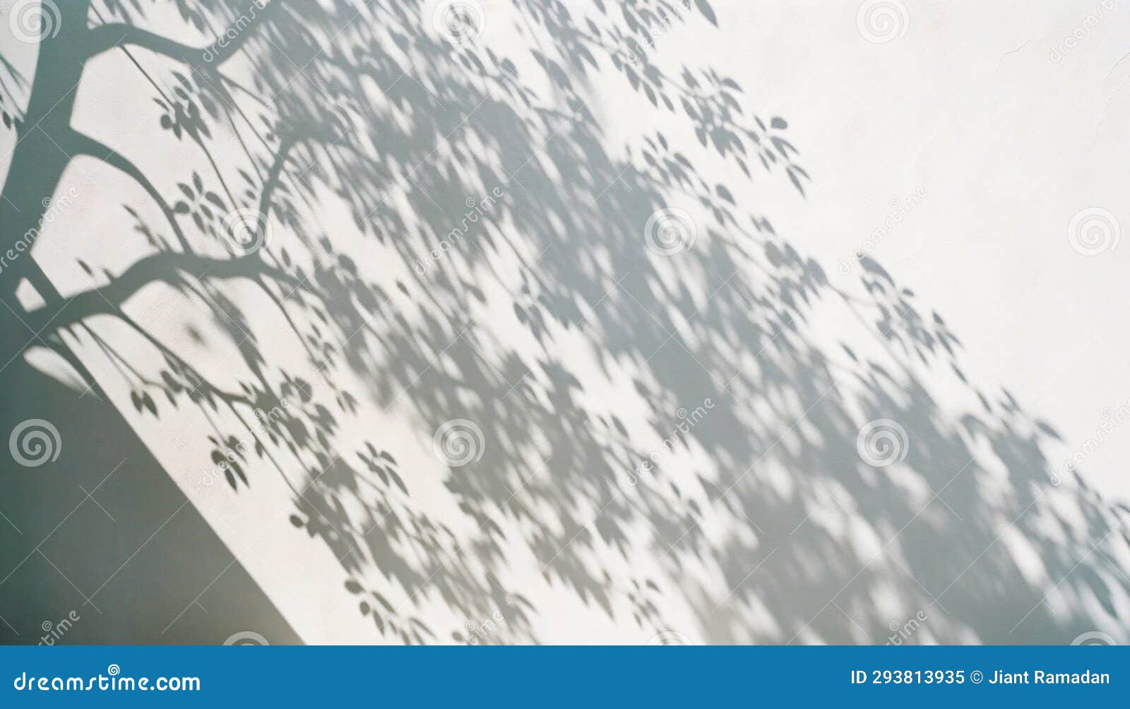 abstract aesthetic shadow on white textured wall. elegant shadow through leaves and branches