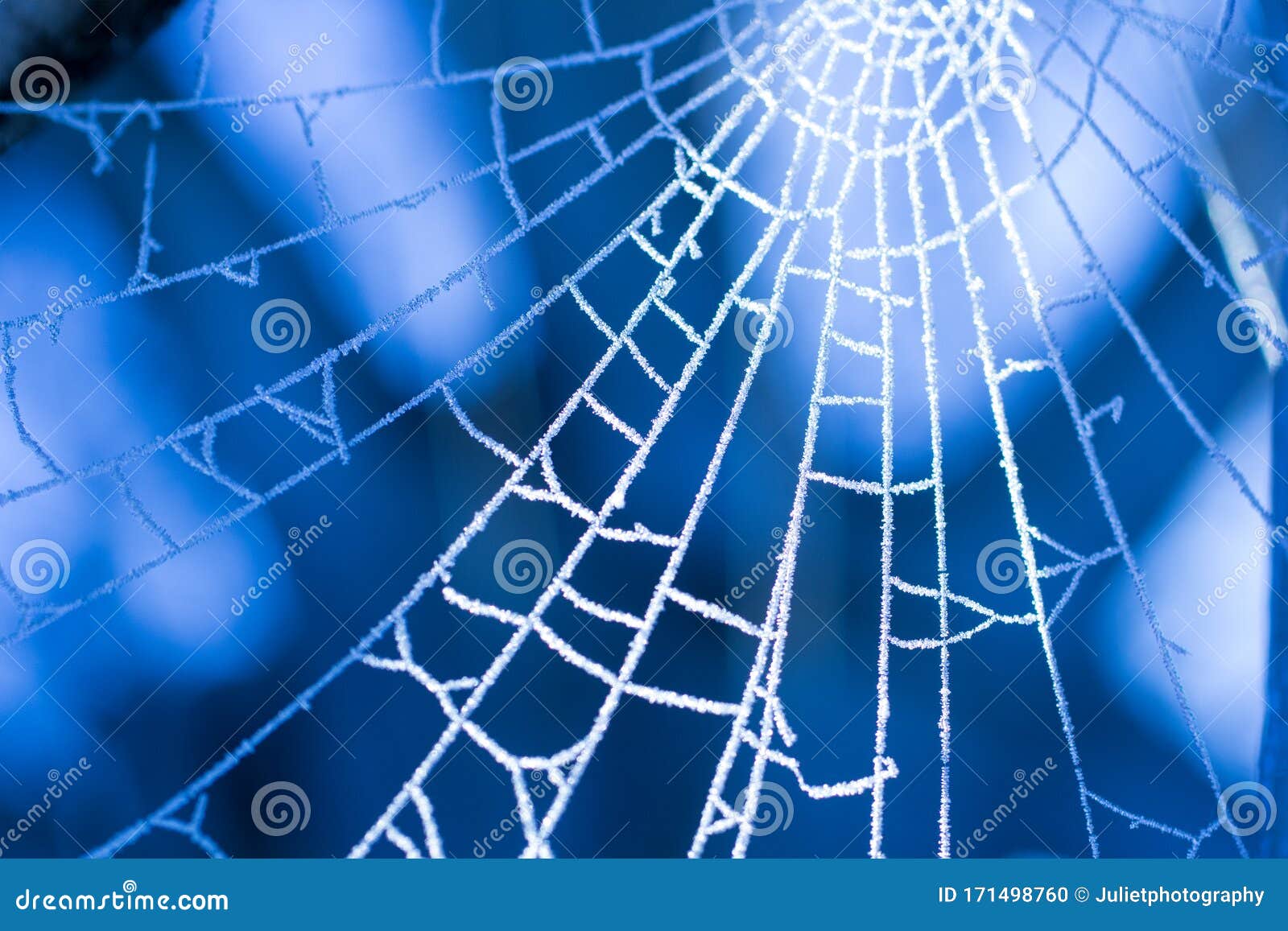 Spider web on abstract blur green background - PatternPictures