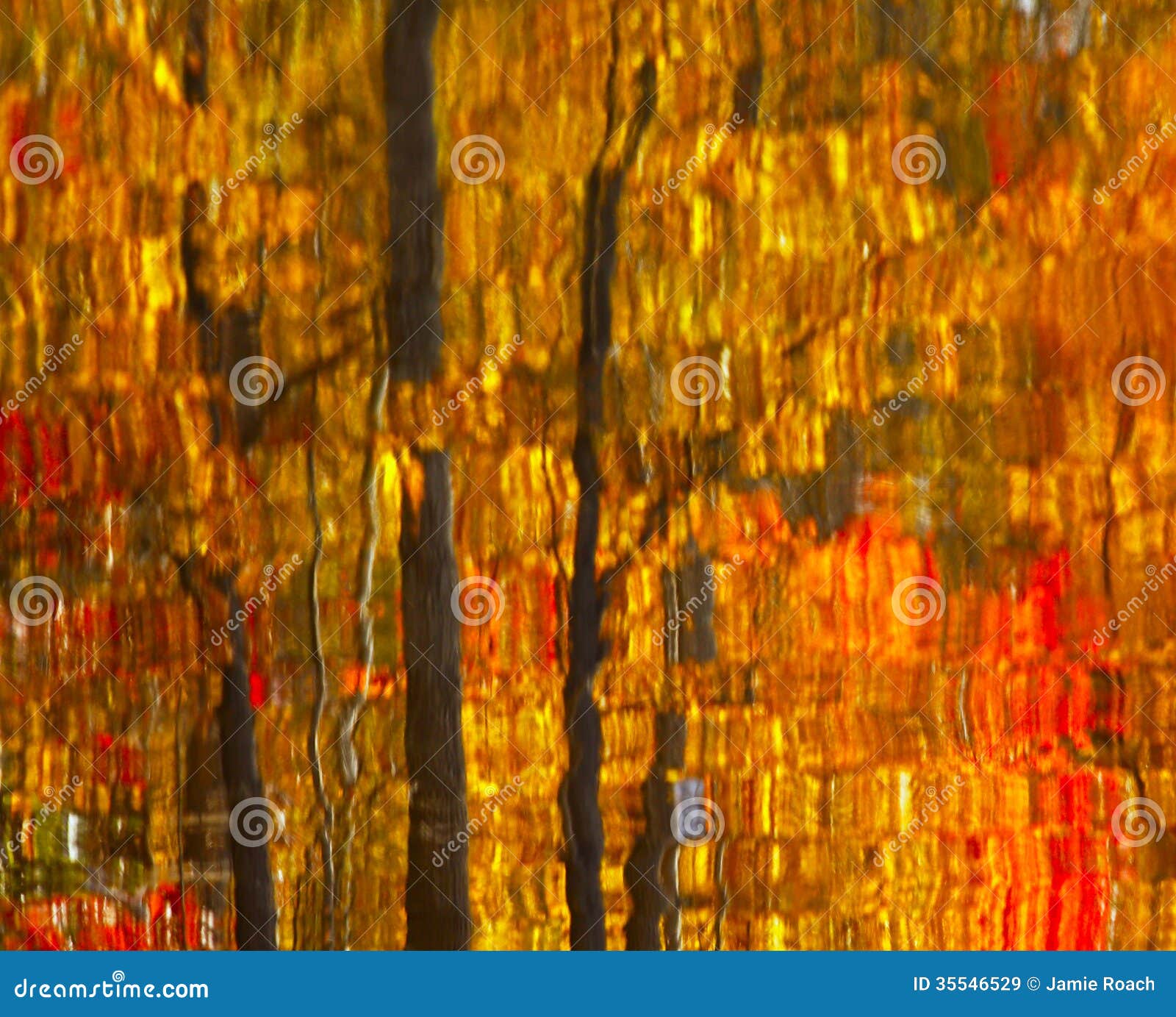 Abstract Autumn Leaves Reflection Stock Image Image Of Freshness