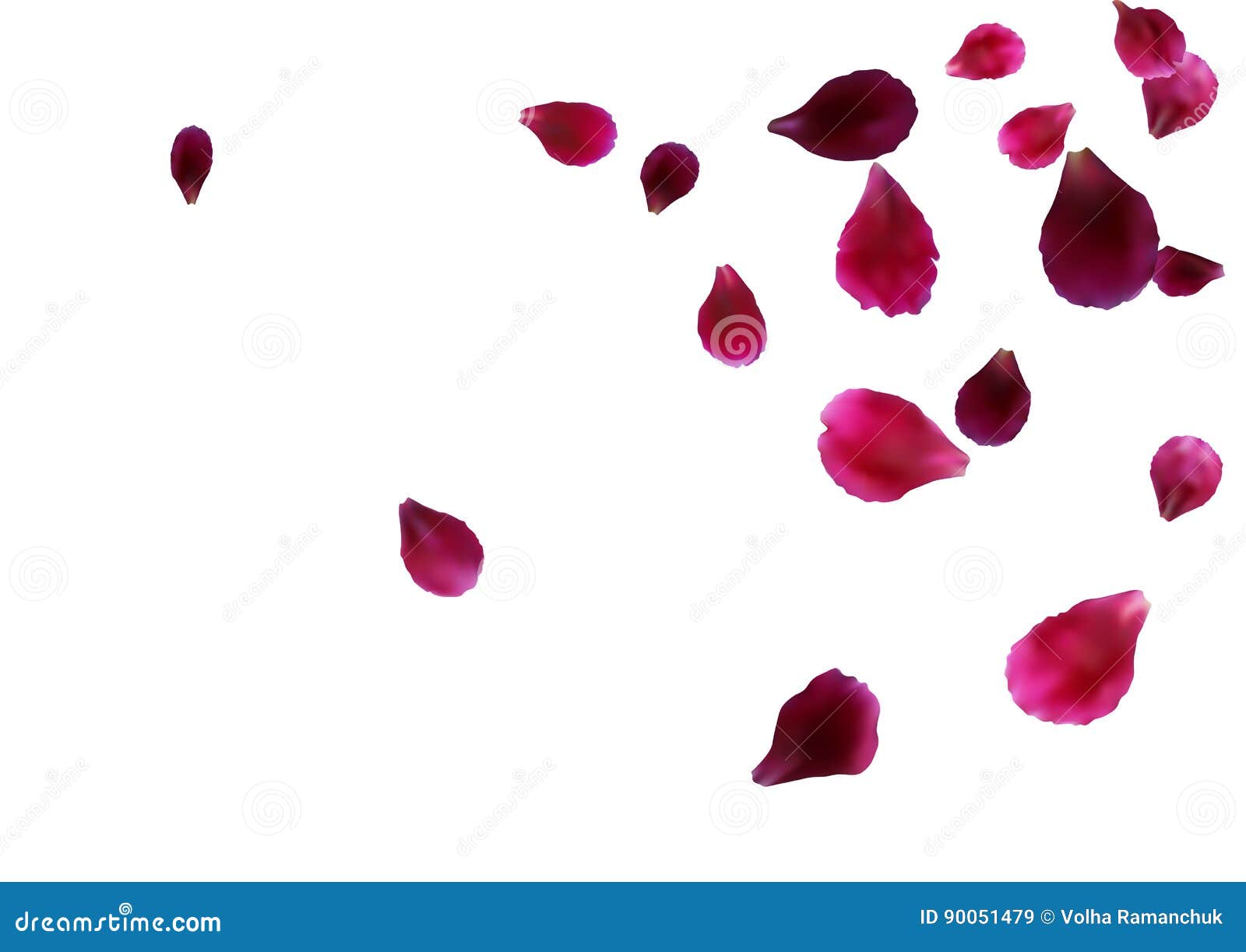 Set of red rose petals Royalty Free Vector Image