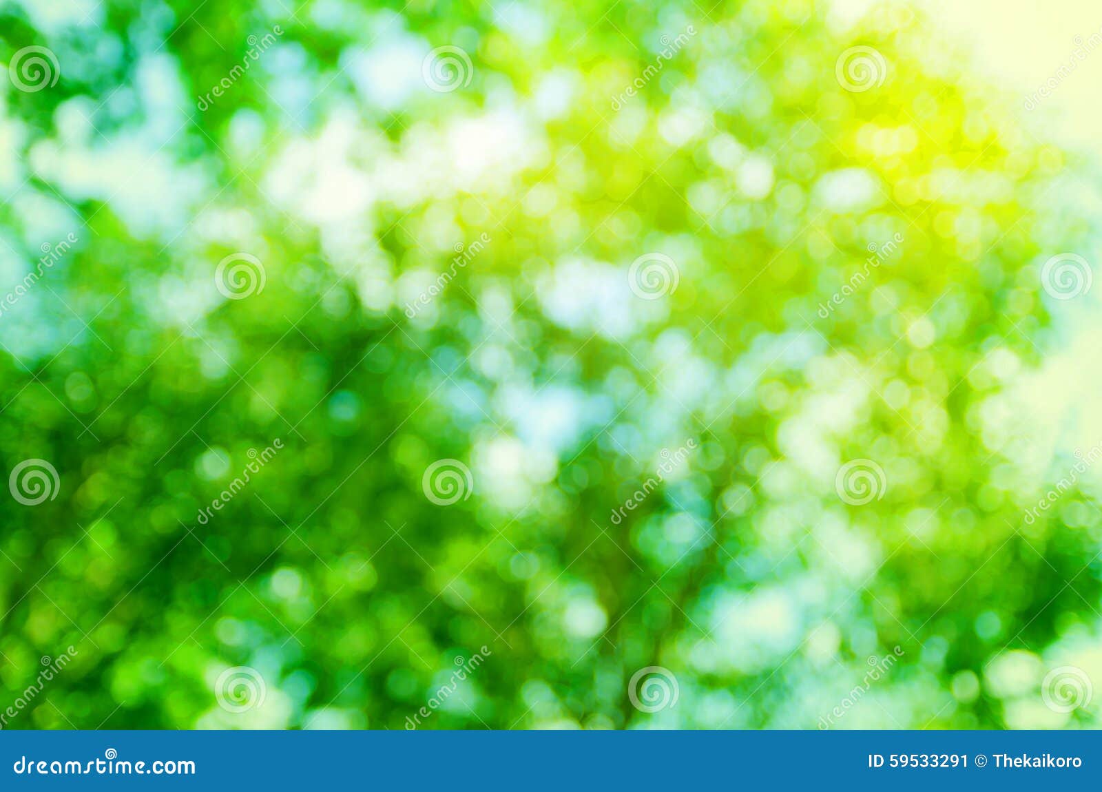 Abstract Background Green Tree Bokeh, Blur Nature Stock Image - Image ...