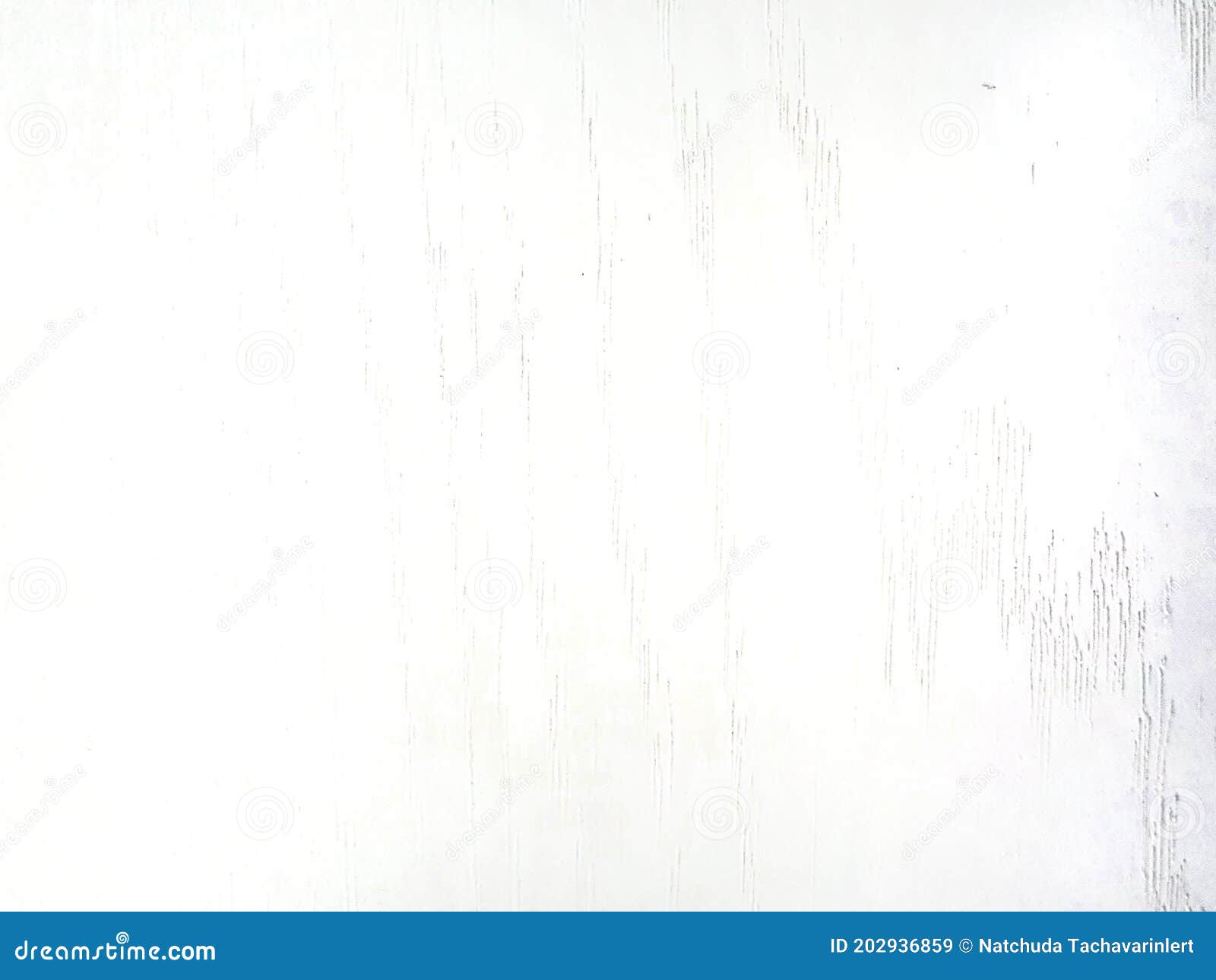 The Abstract Background Image or Wallpaper of White Wood Grain Stock