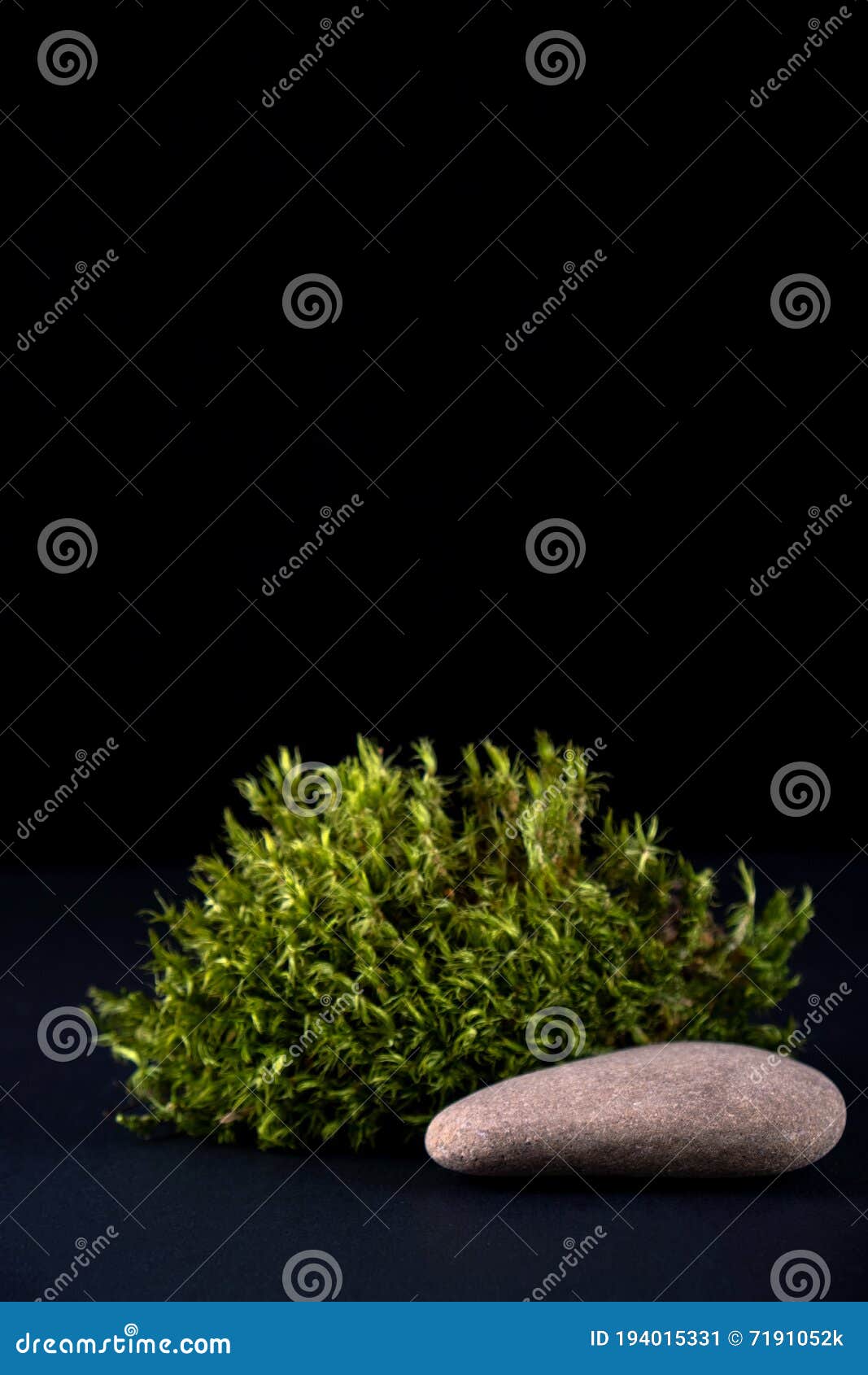 abstract background with moss  and stone podium for products presentation or exhibitions.  concept for natural cosmetic