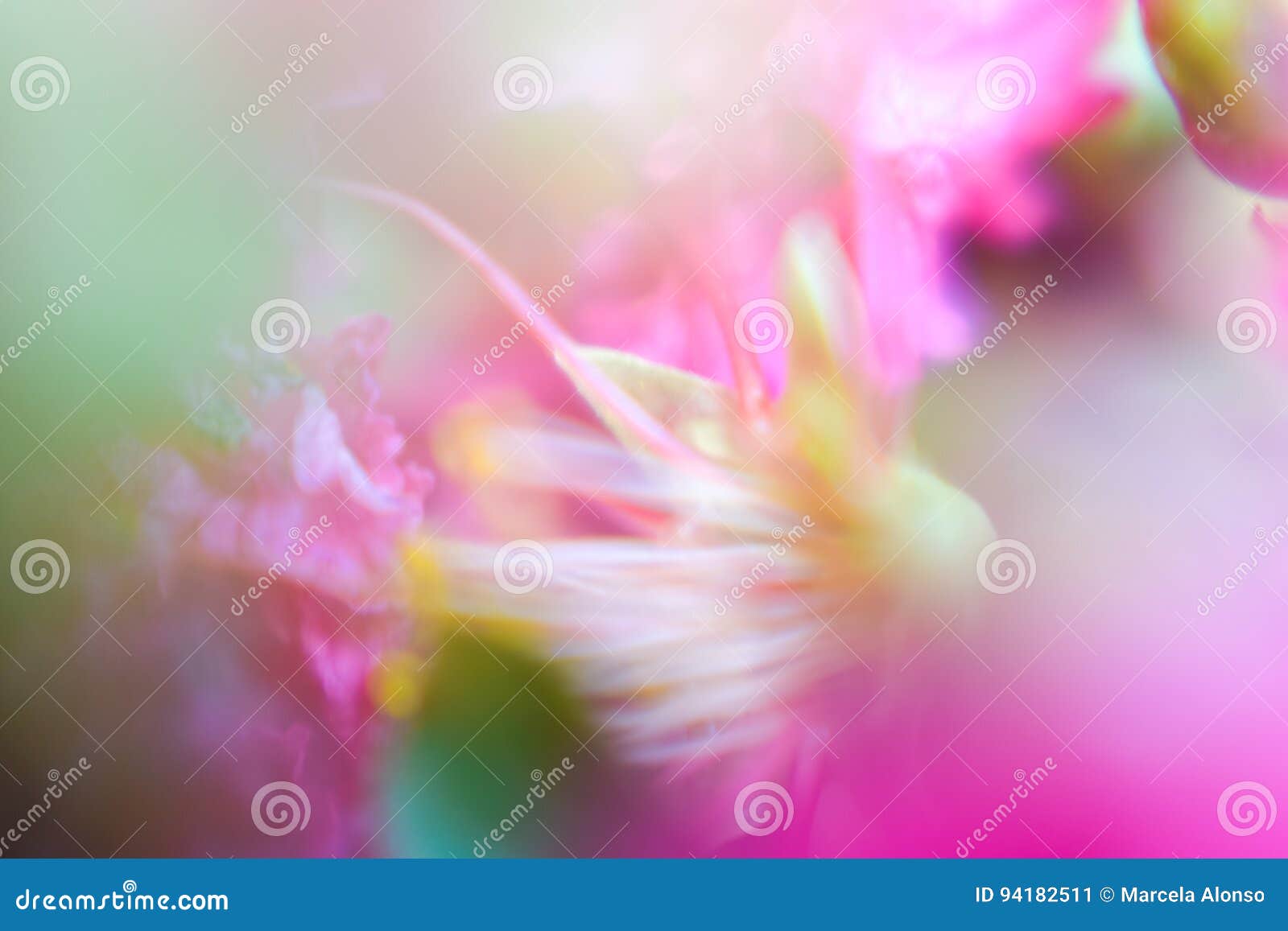 abstract background silky blurred flowers