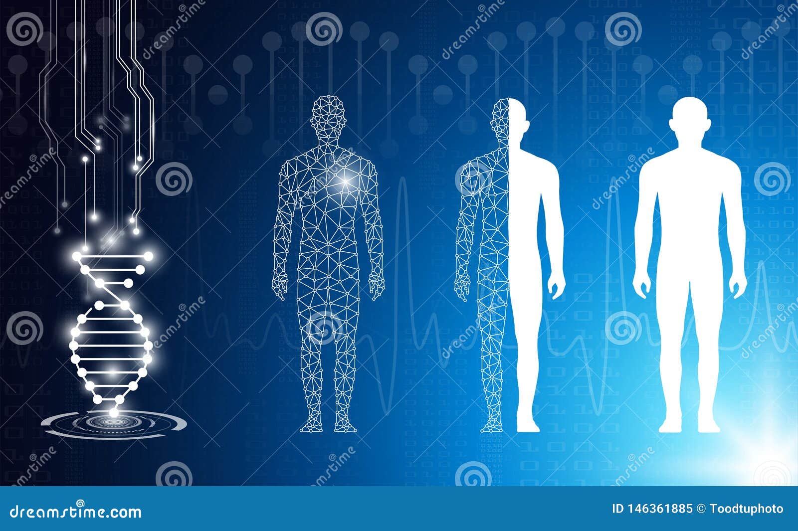 abstract background technology concept in blue light,brain and human body hea