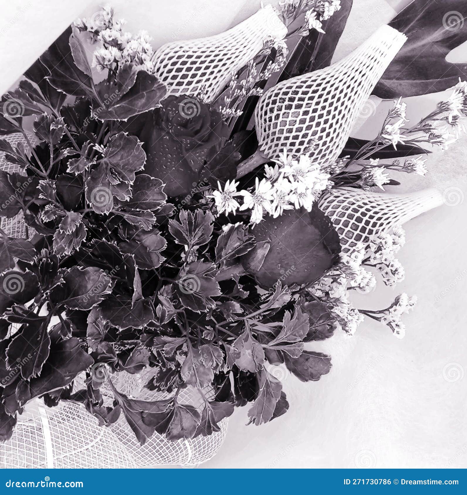 Abstract Black Rose Hide a Beautiful Decorative Black Rose. for